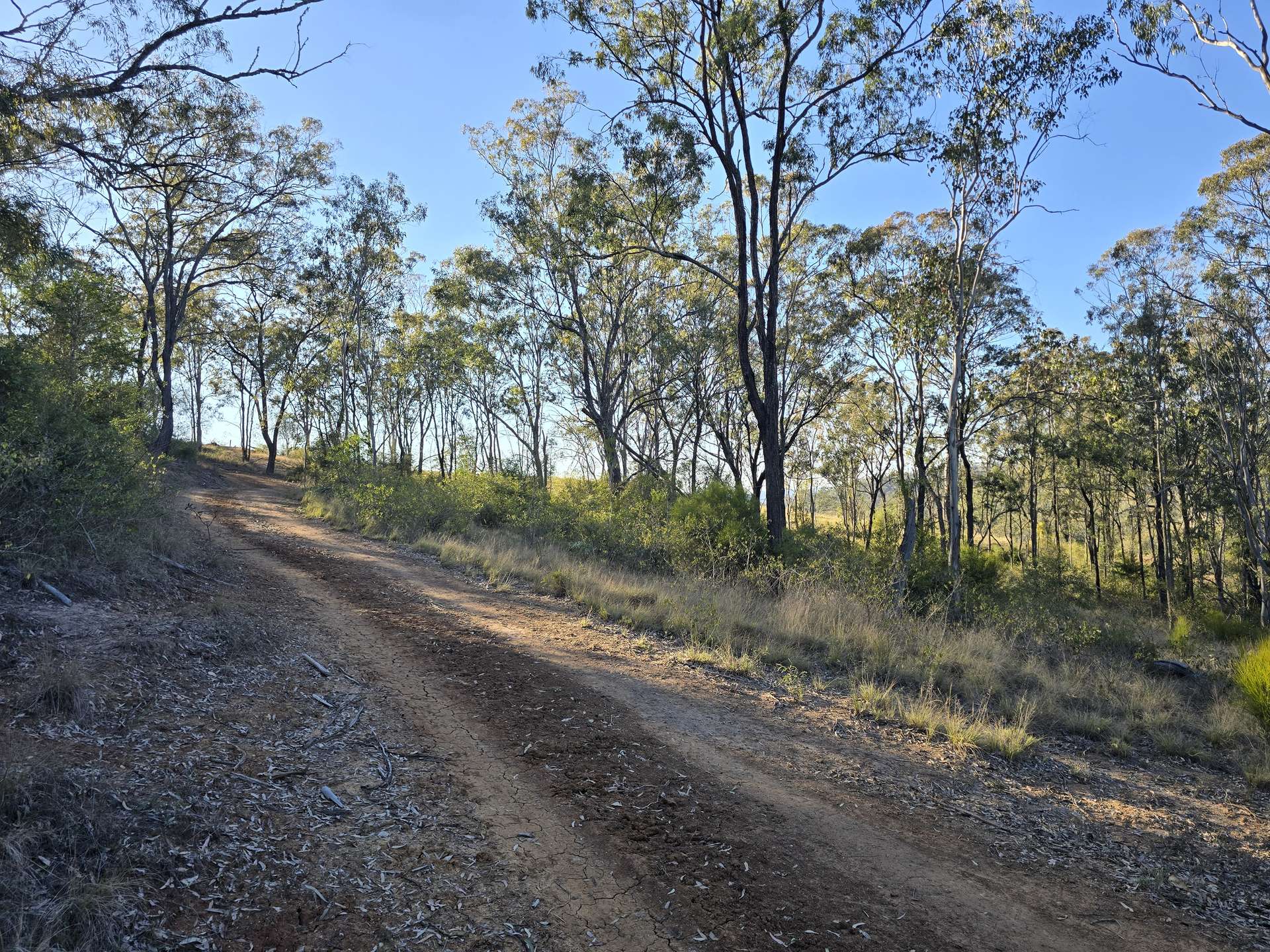 Lot 2 New England Highway, Thornville For Sale by Farmbuy.com - image 4
