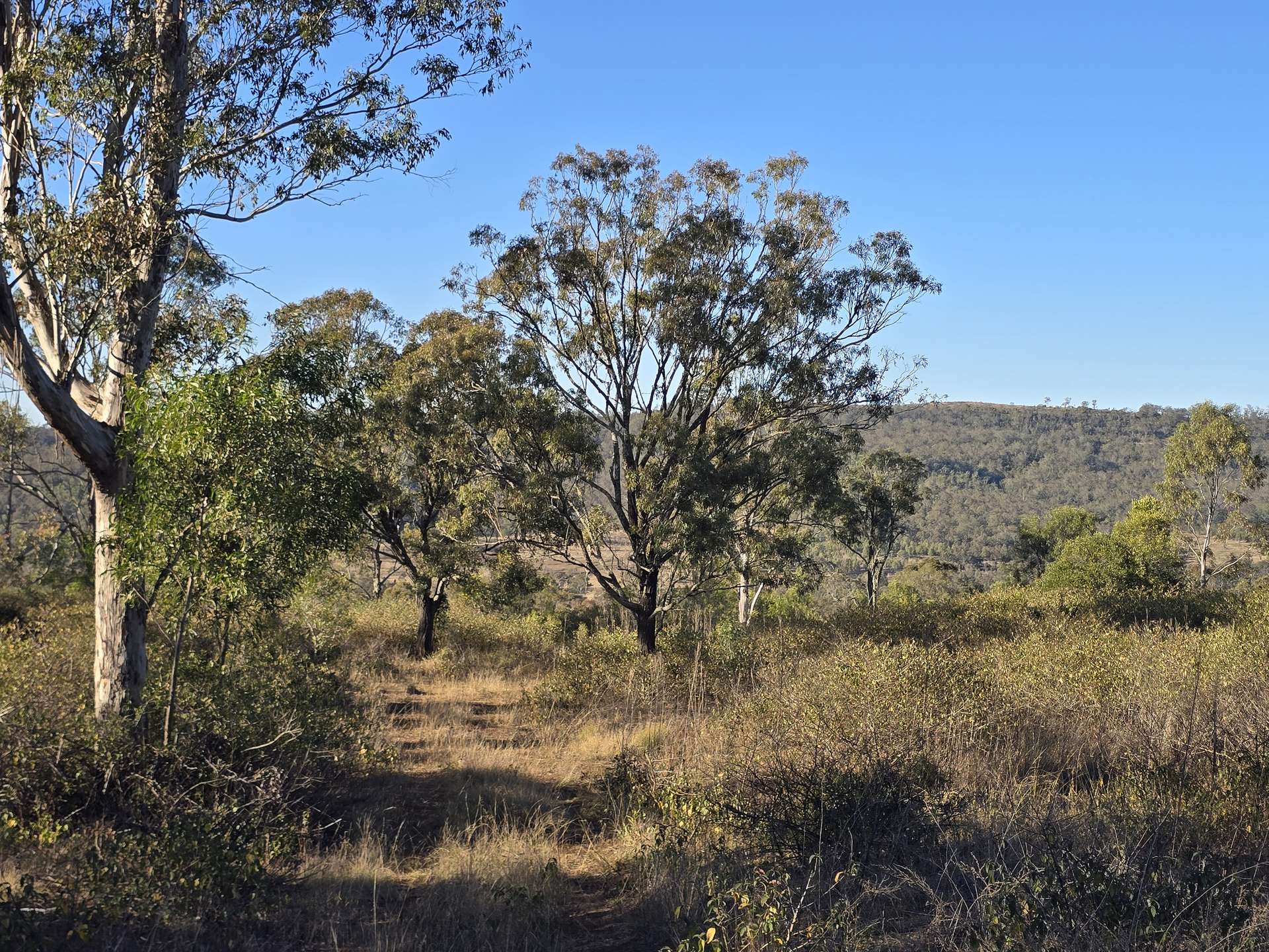 Lot 2 New England Highway, Thornville For Sale by Farmbuy.com - image 12