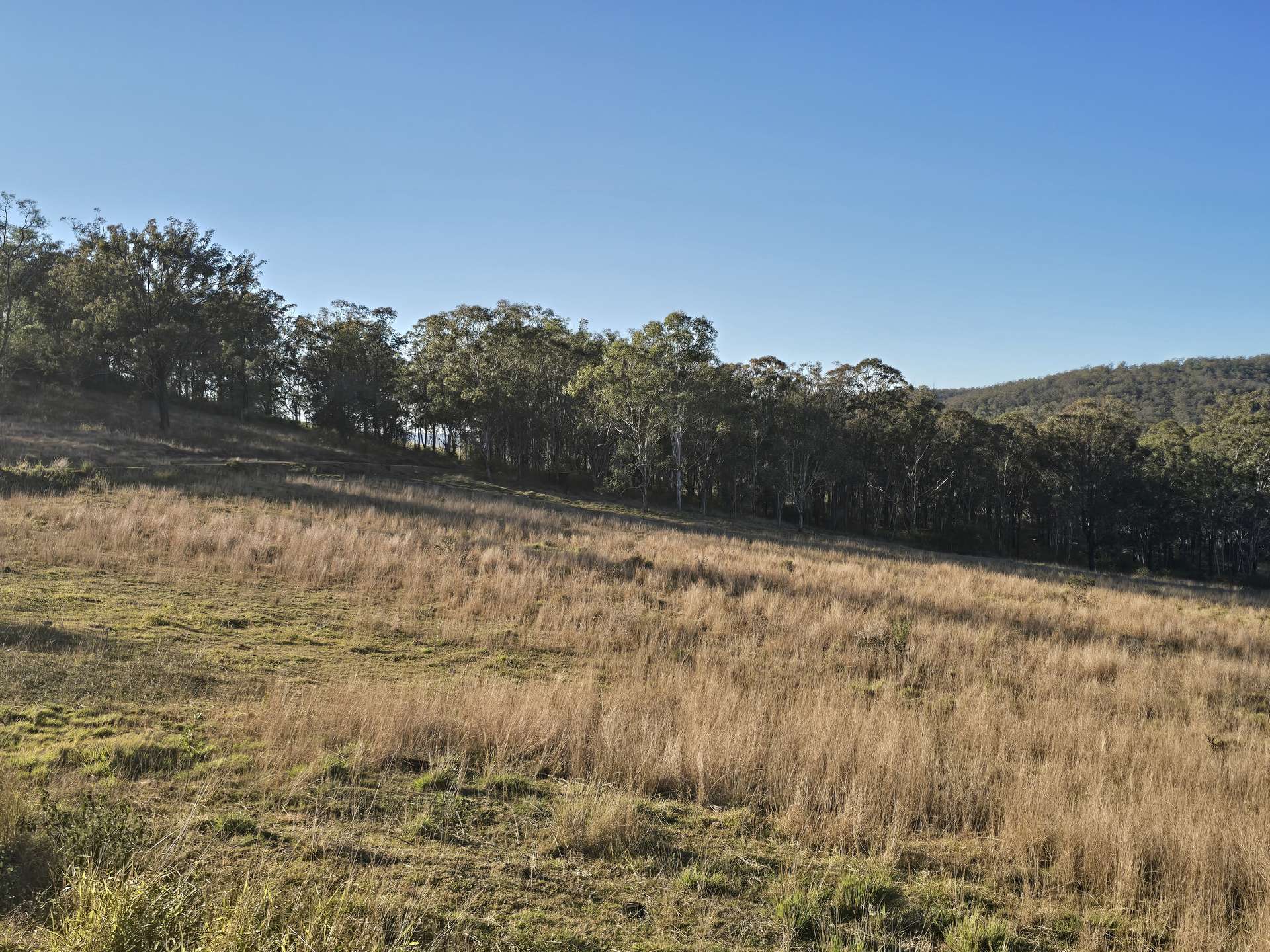Lot 2 New England Highway, Thornville For Sale by Farmbuy.com - image 3