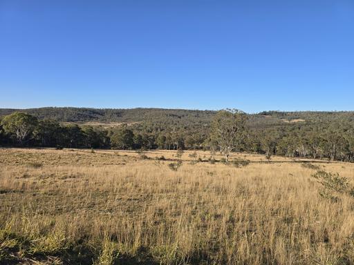 Farm For Sale - QLD - Thornville - 4352 - Great Starter Block - Grazing & Lifestyle 