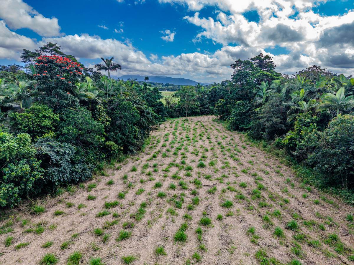 3 Balatti Access, Waugh Pocket For Sale by Farmbuy.com - image 11