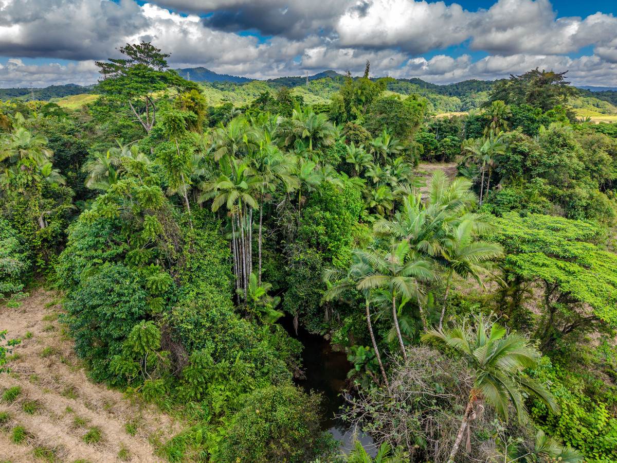 3 Balatti Access, Waugh Pocket For Sale by Farmbuy.com - image 9