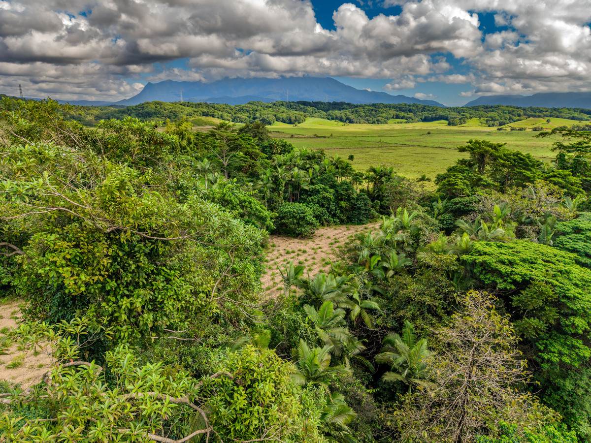 3 Balatti Access, Waugh Pocket For Sale by Farmbuy.com - image 8