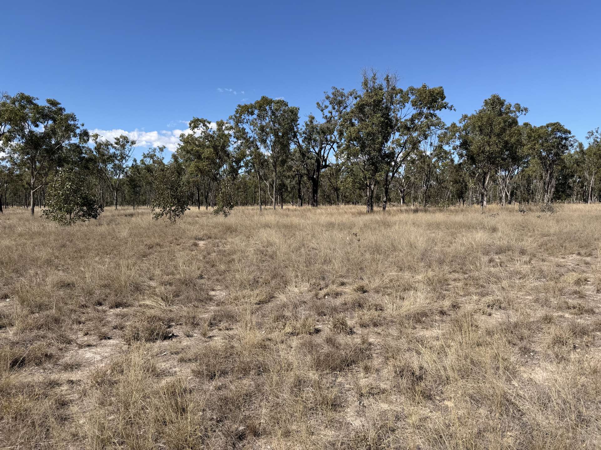 3547 Moonie Highway, Ducklo For Sale by Farmbuy.com - image 4