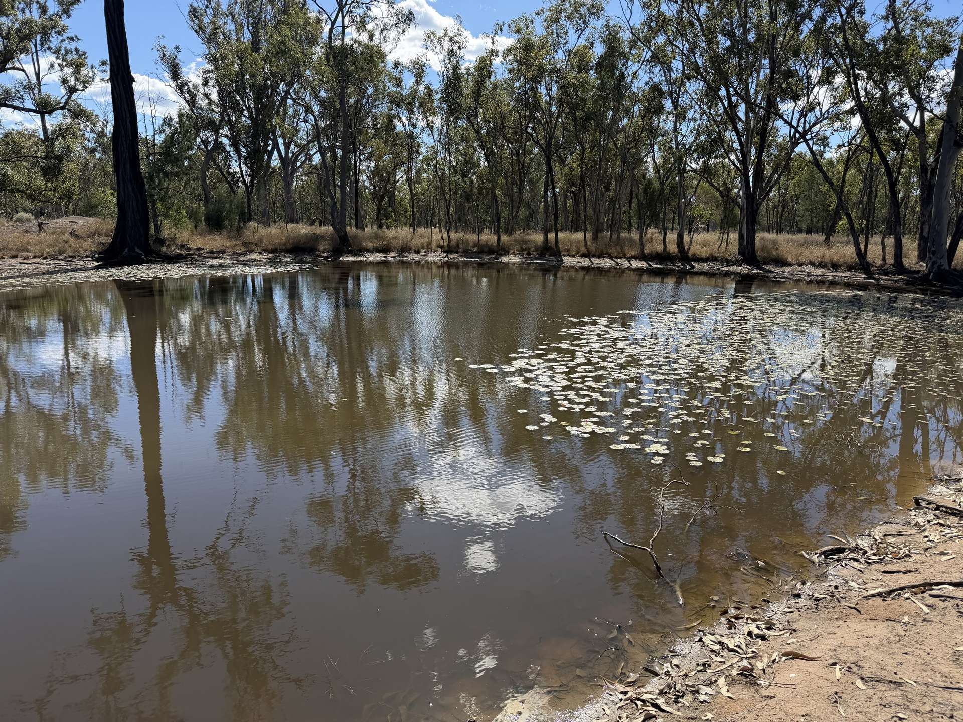 3547 Moonie Highway, Ducklo For Sale by Farmbuy.com - image 16