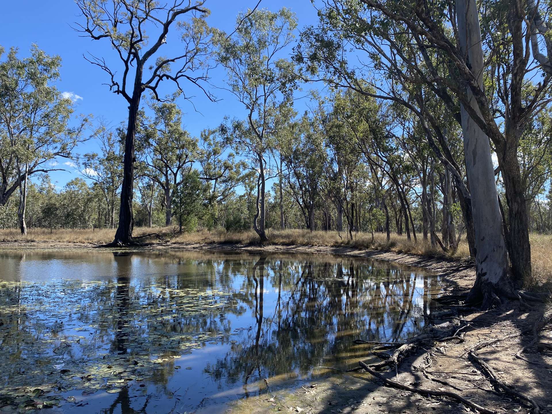3547 Moonie Highway, Ducklo For Sale by Farmbuy.com - image 2