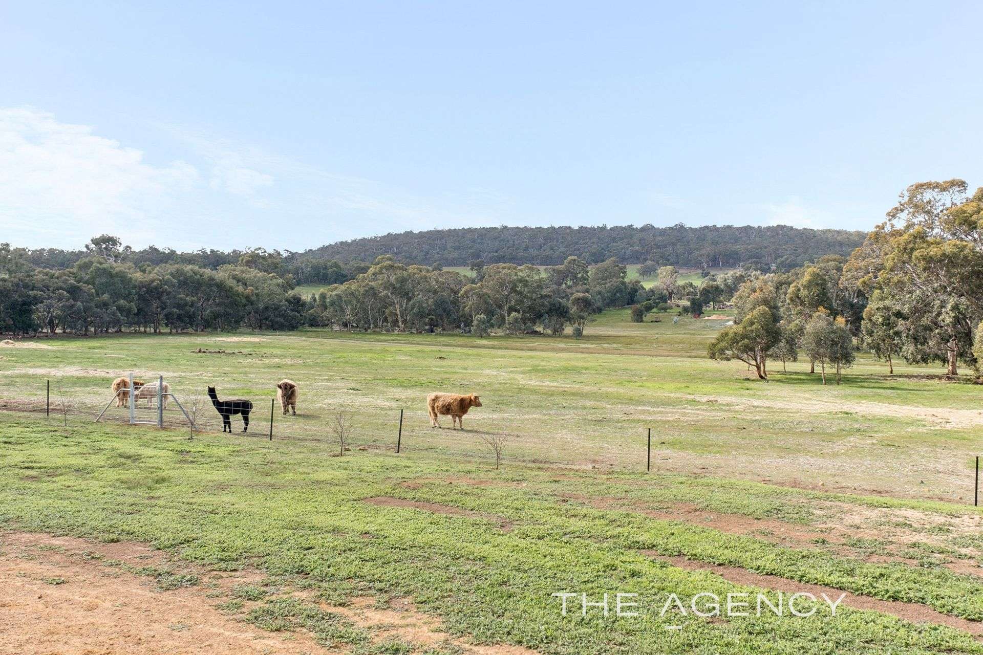 19 Sims Road, Bakers Hill For Sale by Farmbuy.com - image 28