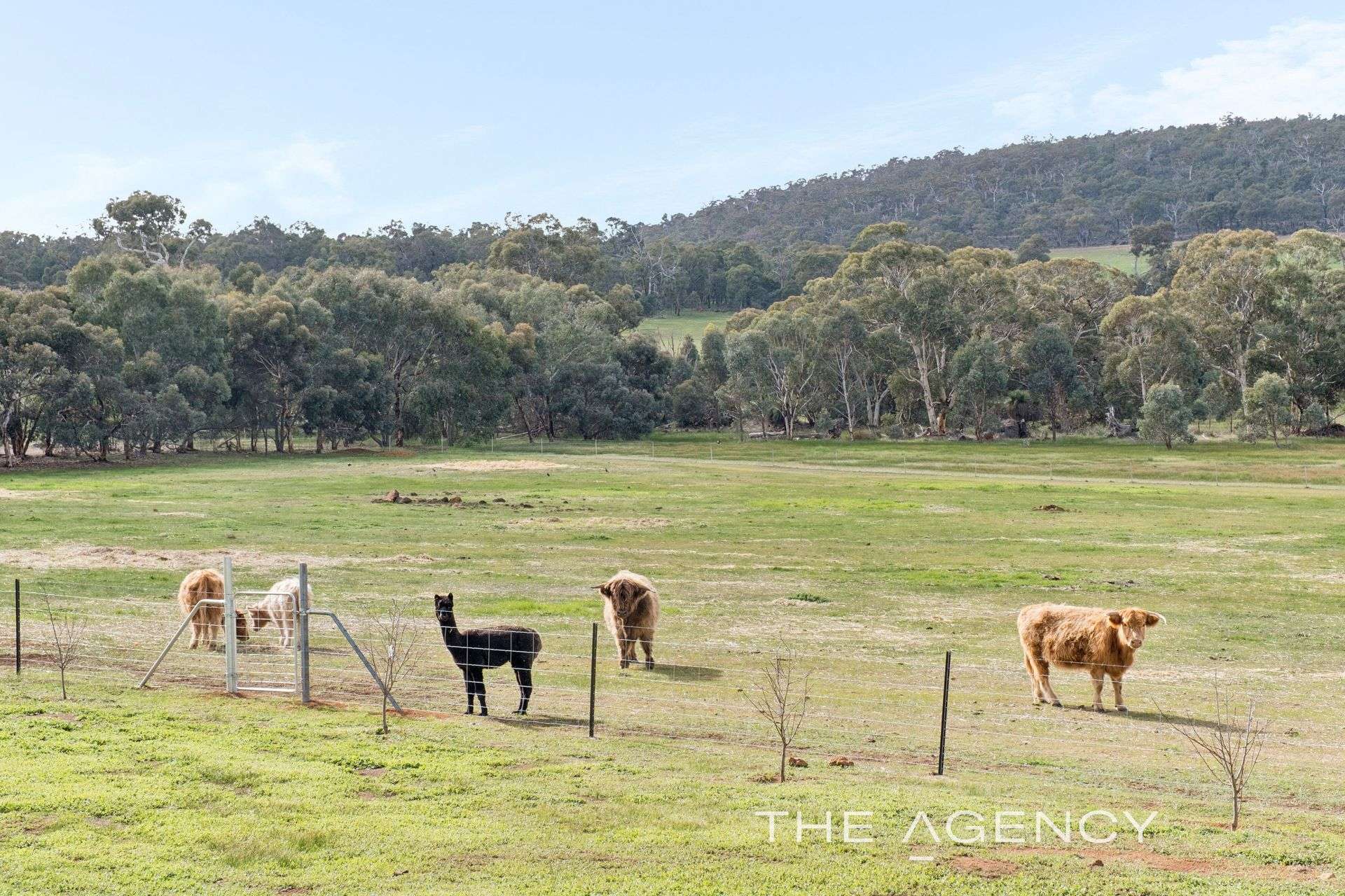 19 Sims Road, Bakers Hill For Sale by Farmbuy.com - image 27