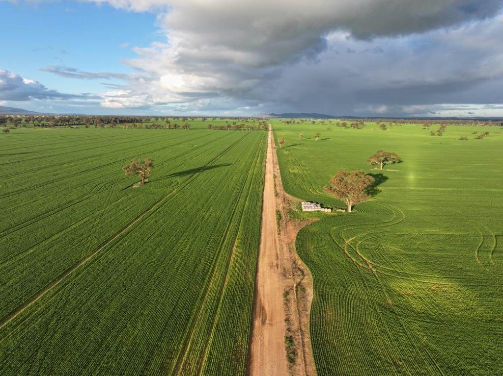 Bongoola Mary Gilmore Way, Bimbi NSW 2810