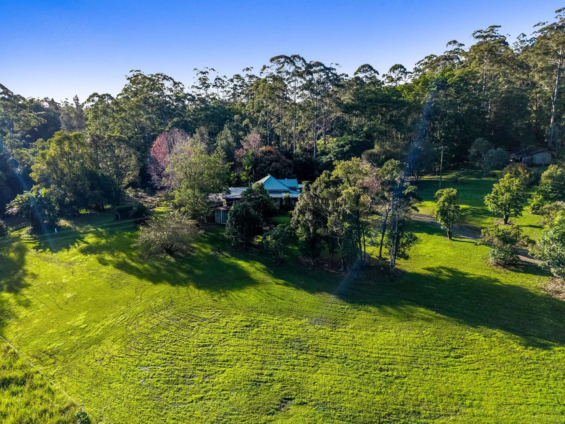 867 Blue Knob Road, Blue Knob For Sale by Farmbuy.com - image 27