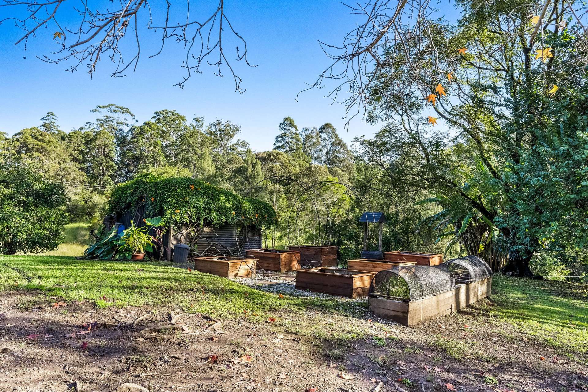 867 Blue Knob Road, Blue Knob For Sale by Farmbuy.com - image 27