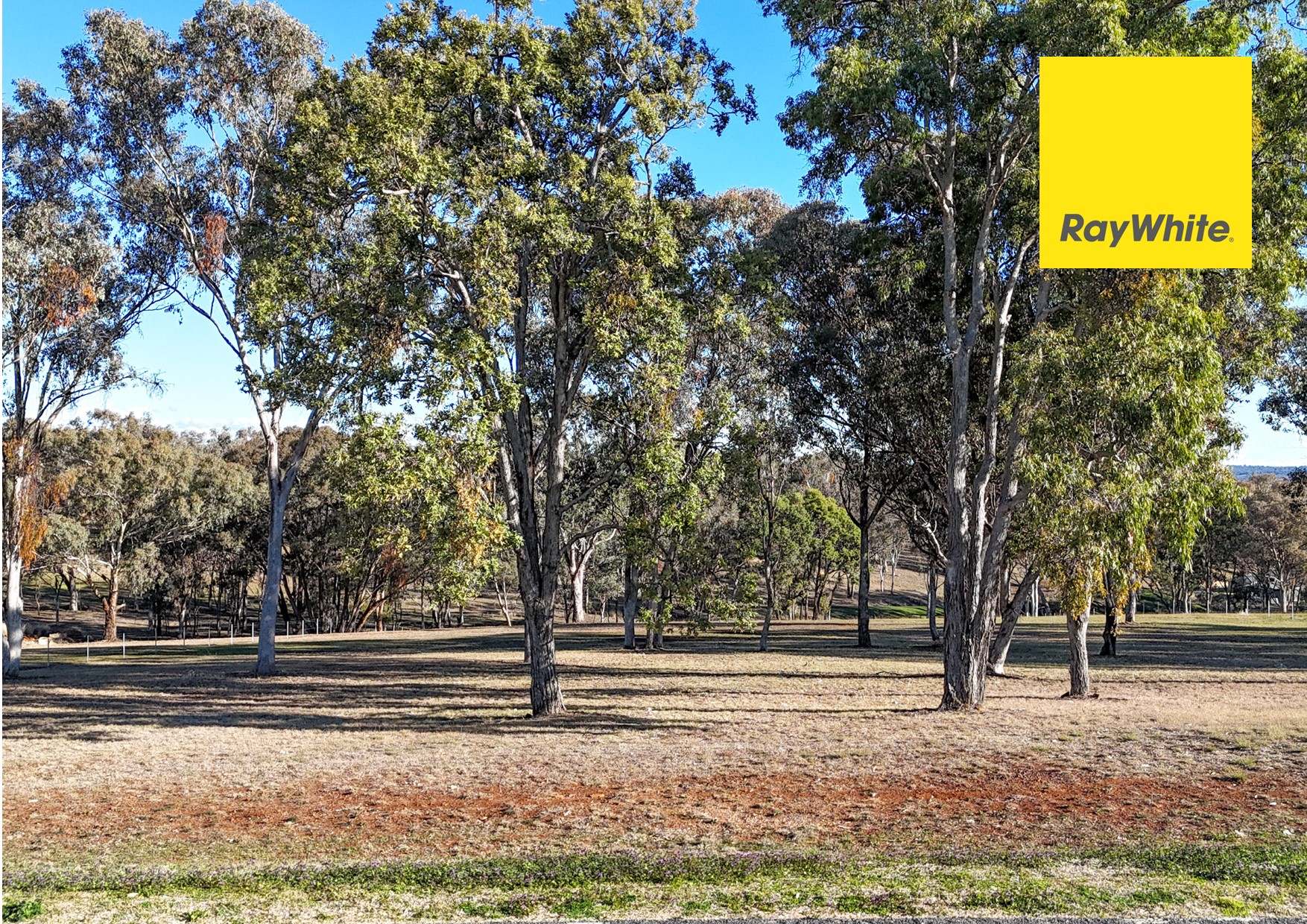 105 Sylvan Drive, Inverell For Sale by Farmbuy.com - image 3