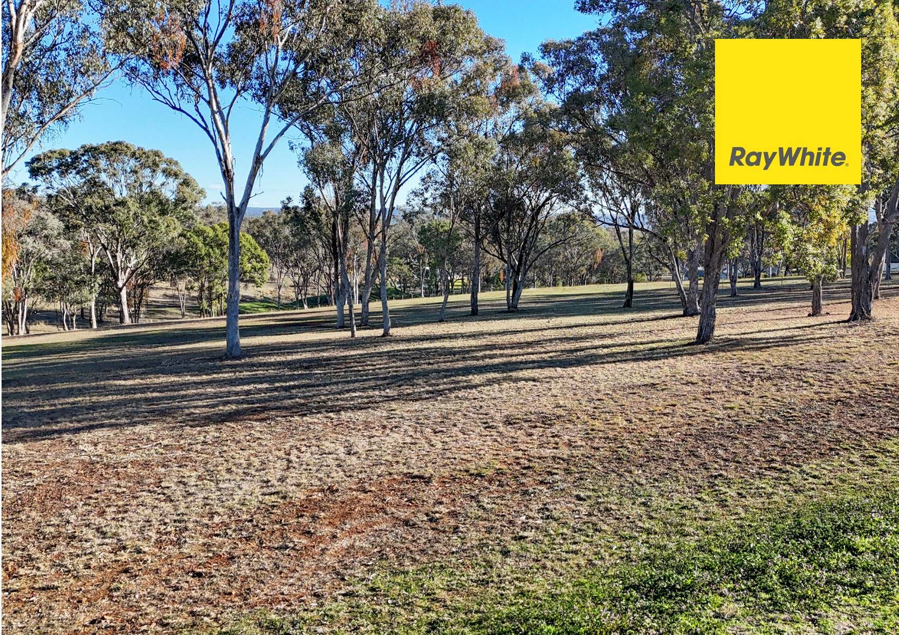 105 Sylvan Drive, Inverell For Sale by Farmbuy.com - image 6