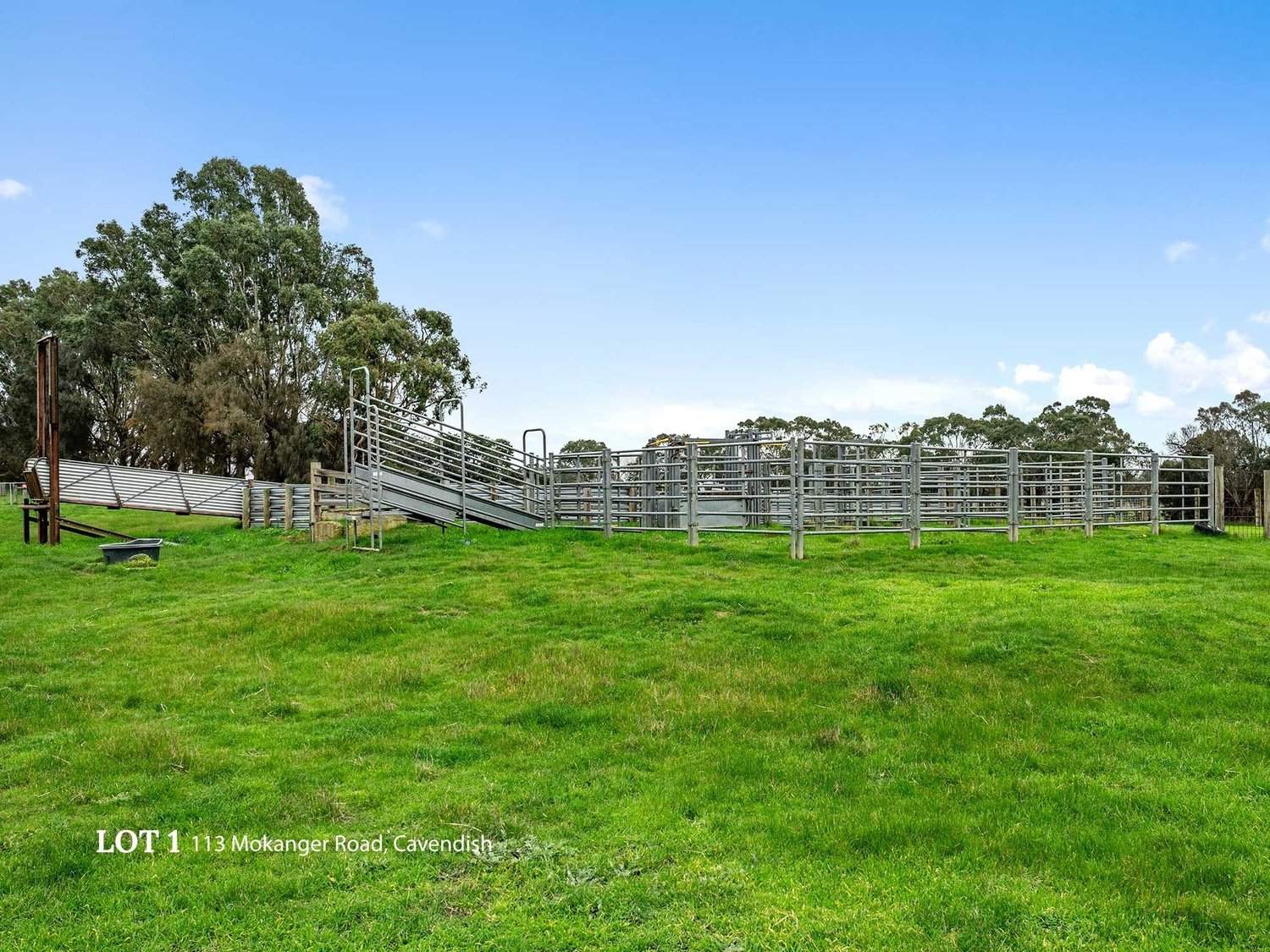 113 Mokanger Road, Cavendish For Sale by Farmbuy.com - image 19