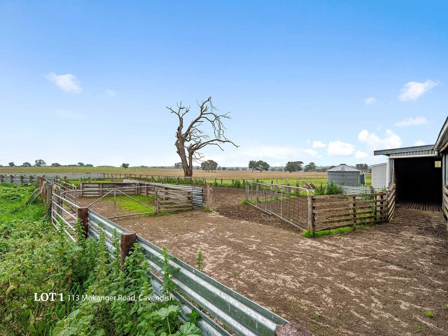 113 Mokanger Road, Cavendish For Sale by Farmbuy.com - image 8