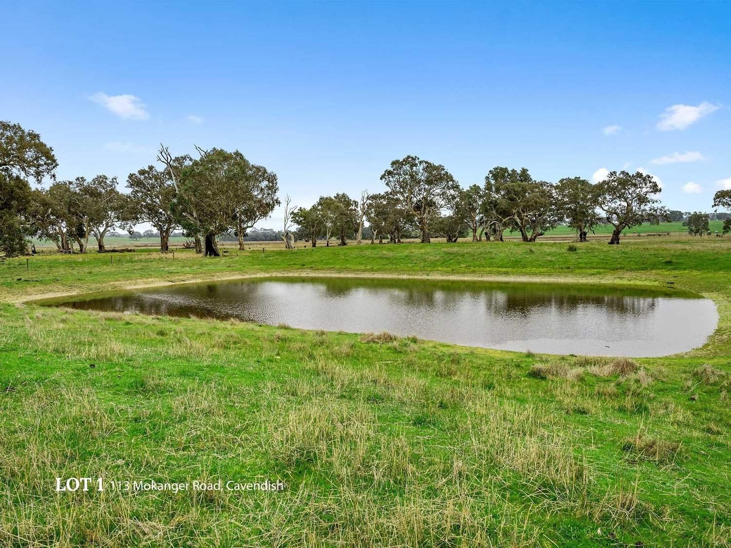 113 Mokanger Road, Cavendish For Sale by Farmbuy.com - image 24