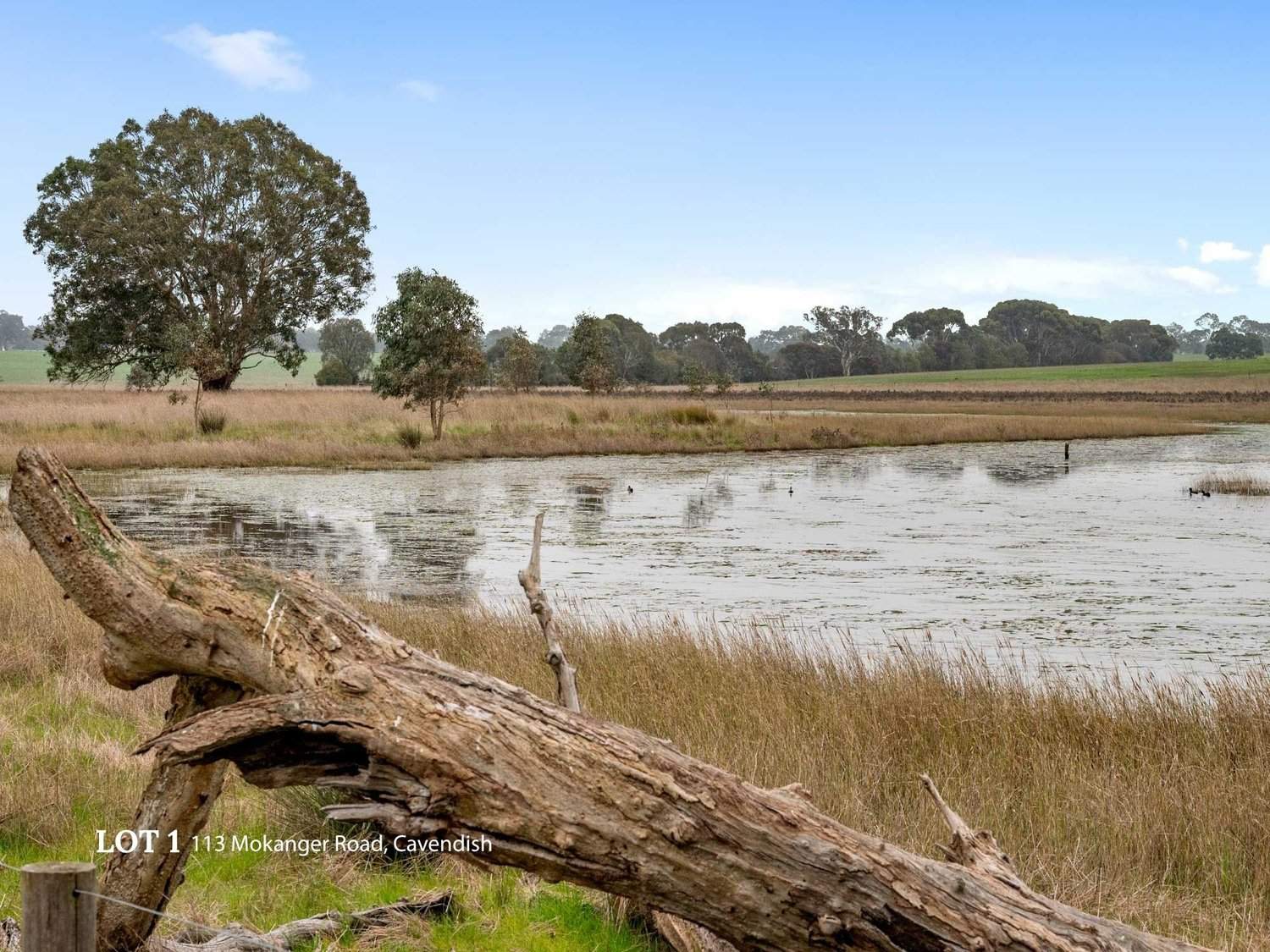 113 Mokanger Road, Cavendish For Sale by Farmbuy.com - image 23