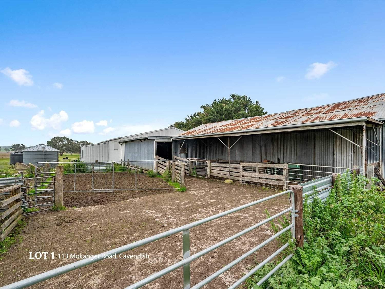 113 Mokanger Road, Cavendish For Sale by Farmbuy.com - image 9
