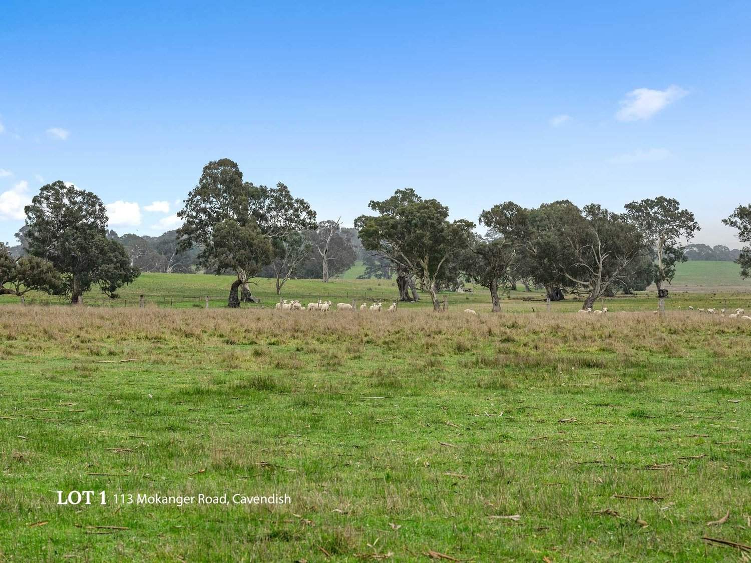 113 Mokanger Road, Cavendish For Sale by Farmbuy.com - image 25