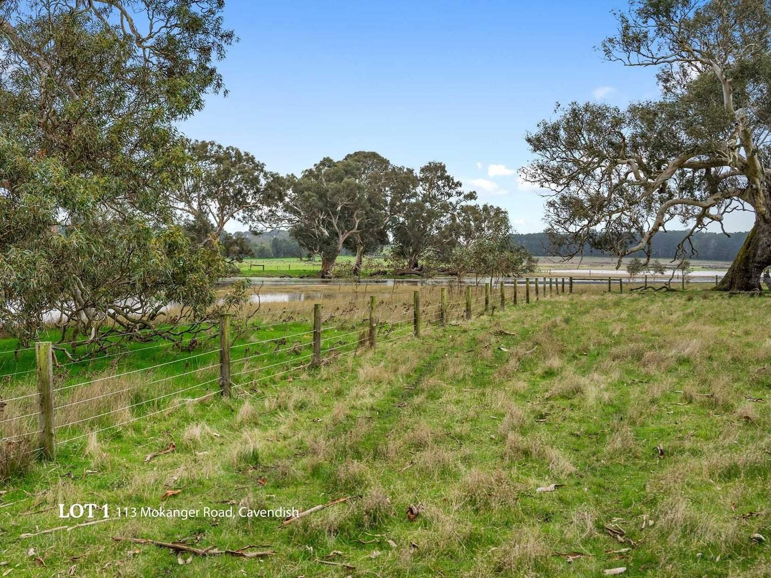 113 Mokanger Road, Cavendish For Sale by Farmbuy.com - image 22