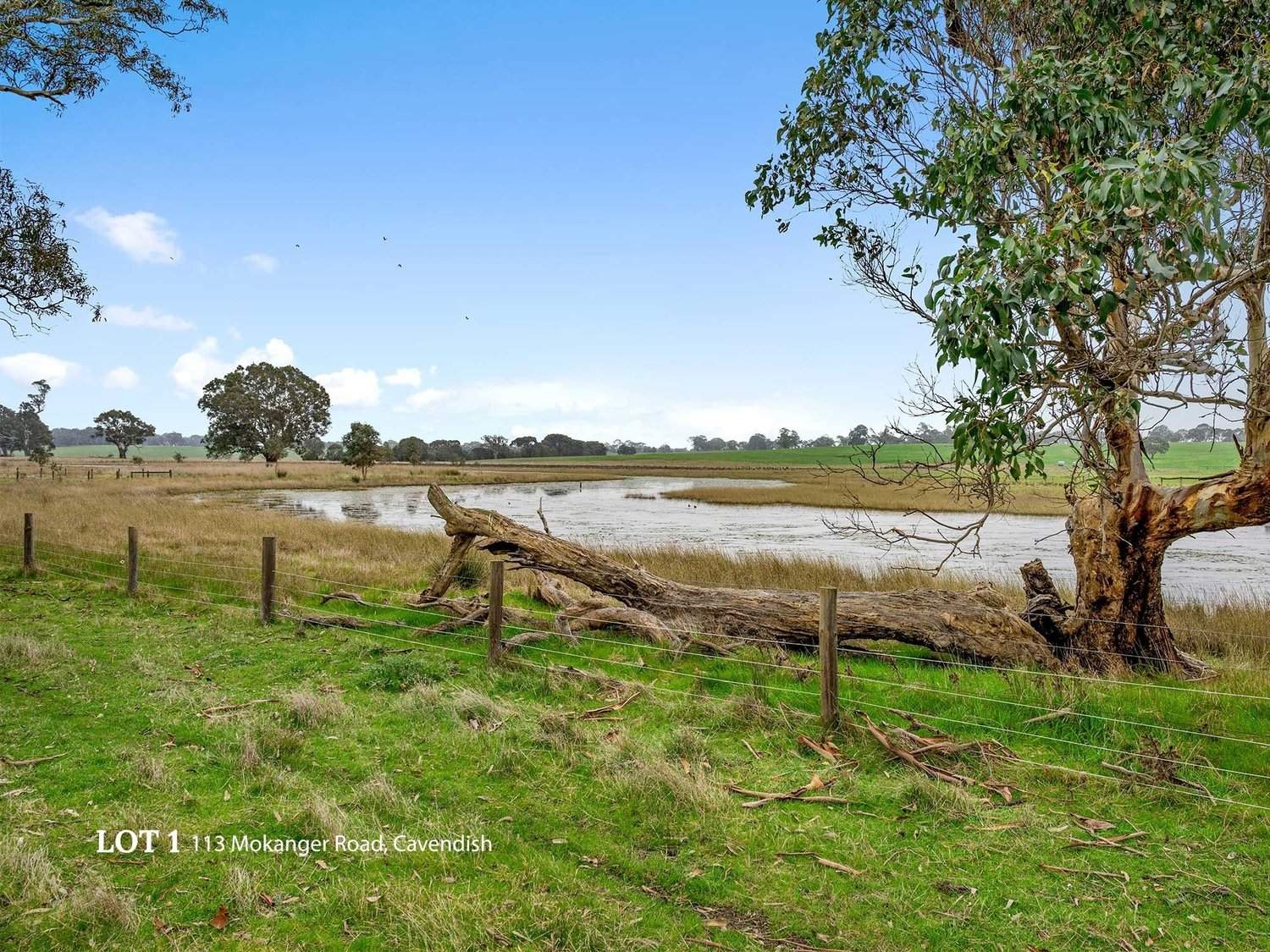 113 Mokanger Road, Cavendish For Sale by Farmbuy.com - image 21