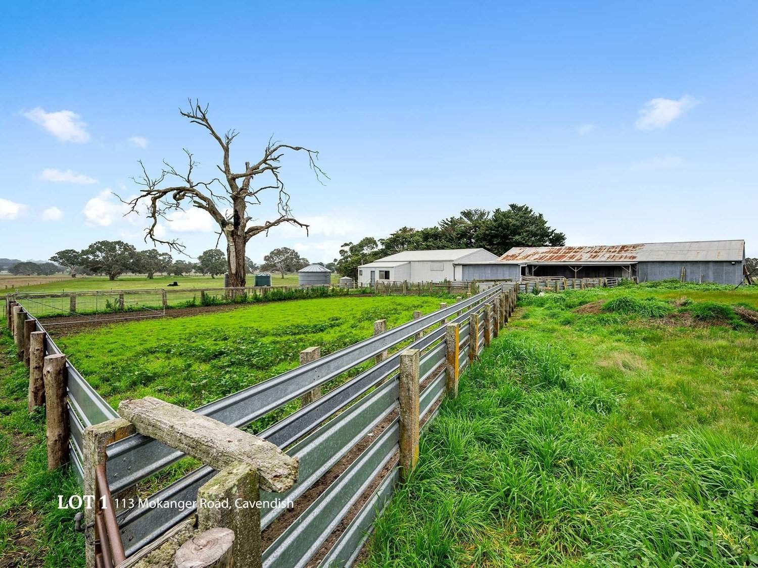 113 Mokanger Road, Cavendish For Sale by Farmbuy.com - image 6