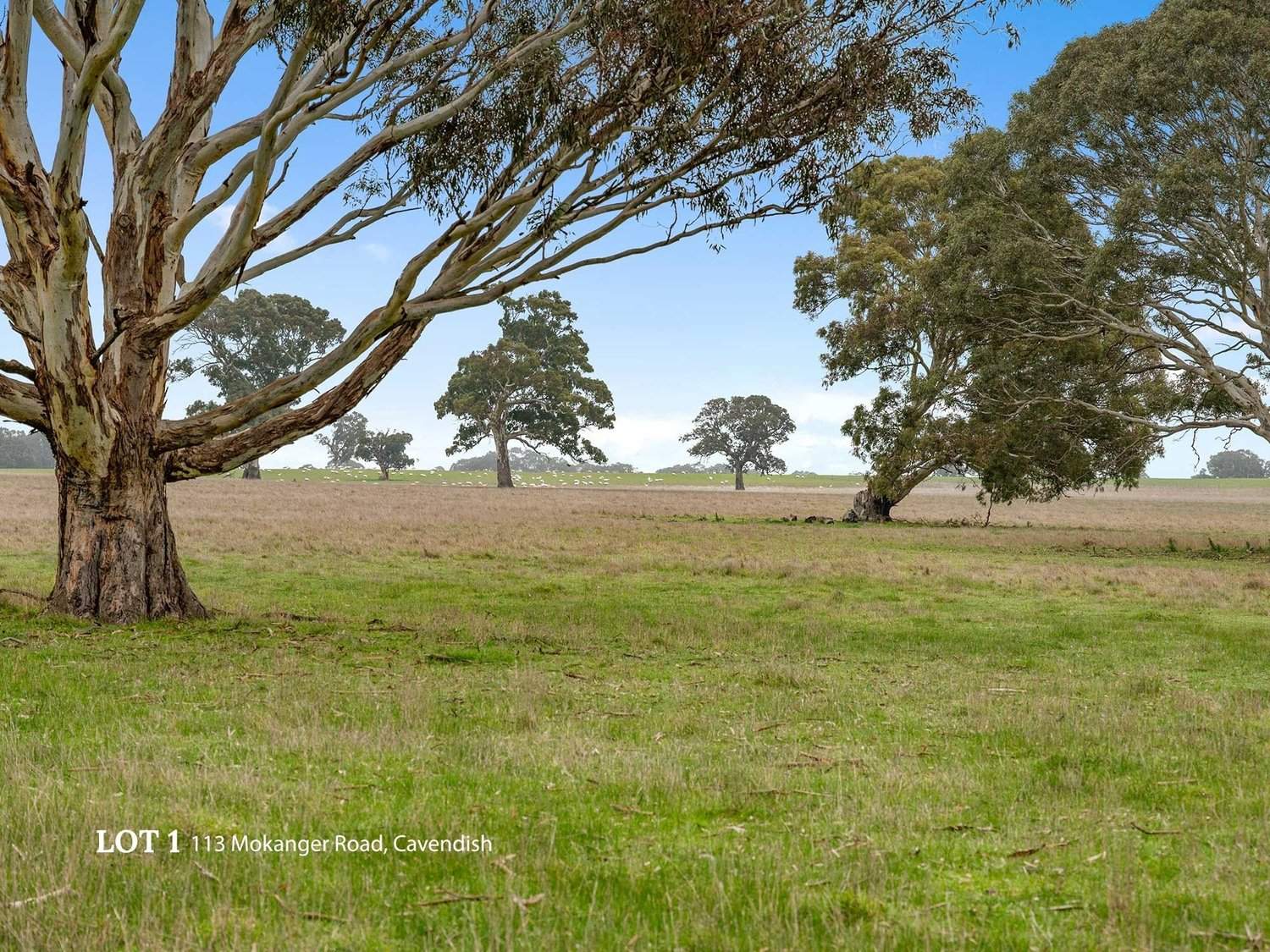 113 Mokanger Road, Cavendish For Sale by Farmbuy.com - image 26