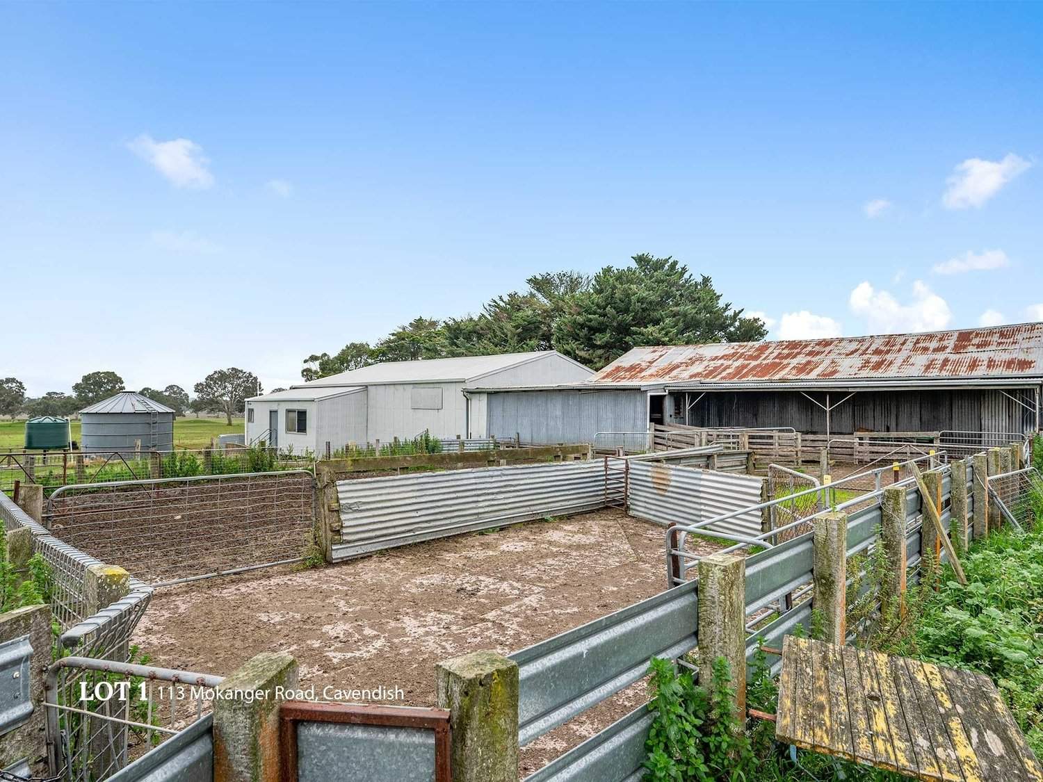 113 Mokanger Road, Cavendish For Sale by Farmbuy.com - image 7