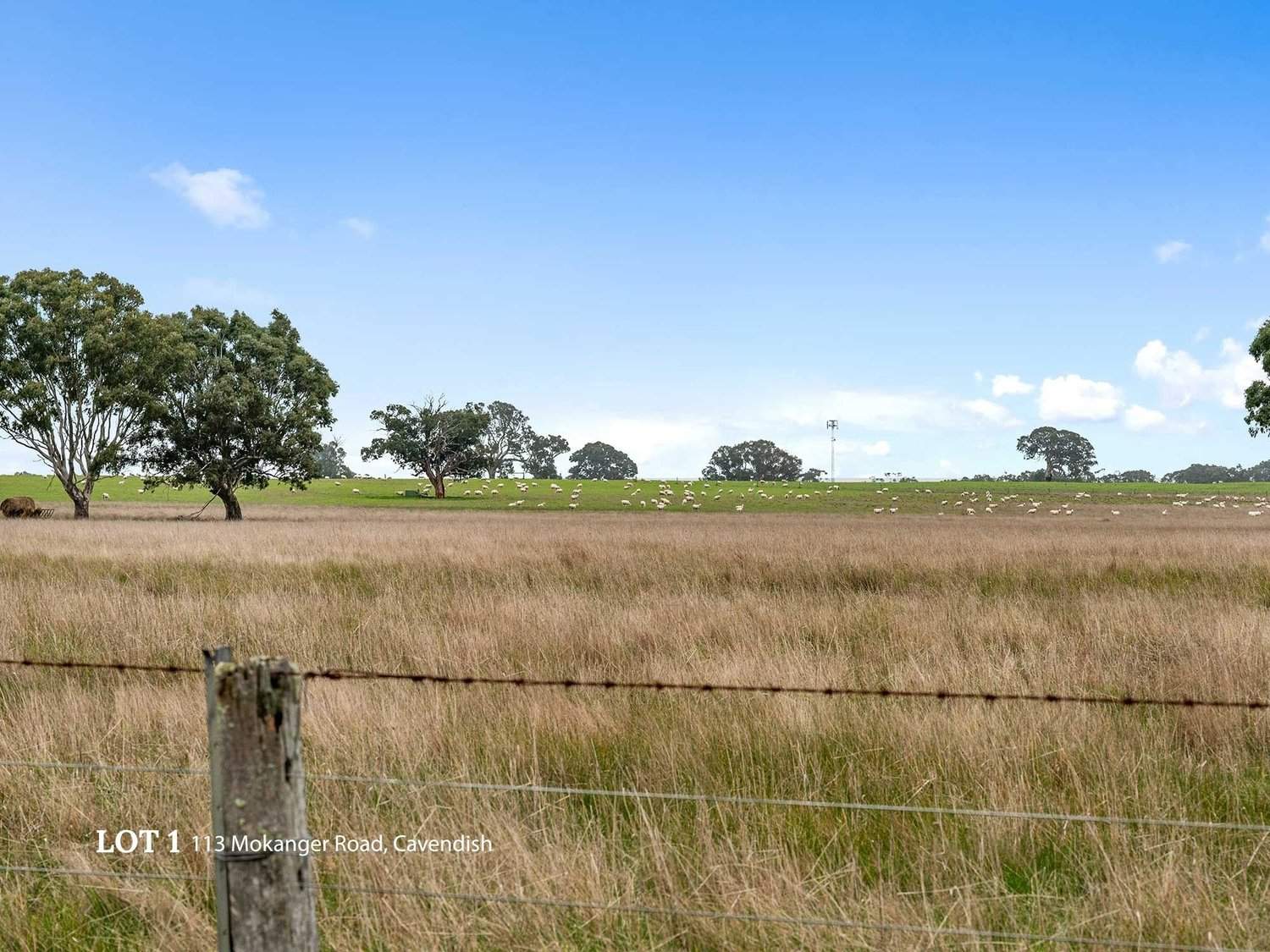 113 Mokanger Road, Cavendish For Sale by Farmbuy.com - image 20