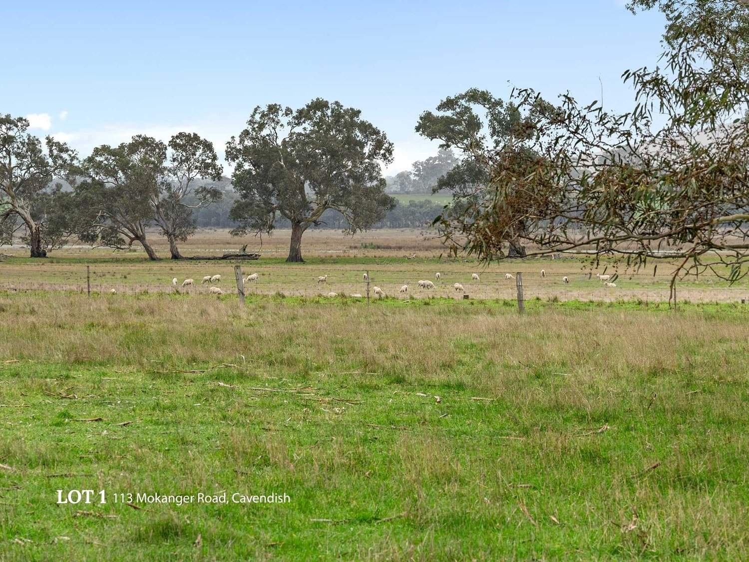 113 Mokanger Road, Cavendish For Sale by Farmbuy.com - image 16