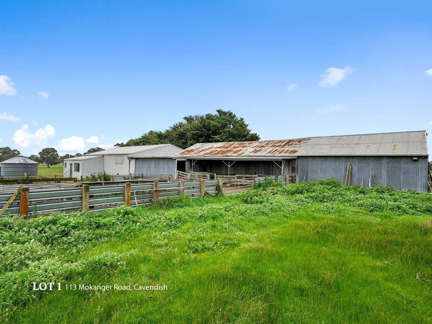 113 Mokanger Road, Cavendish For Sale by Farmbuy.com - image 5