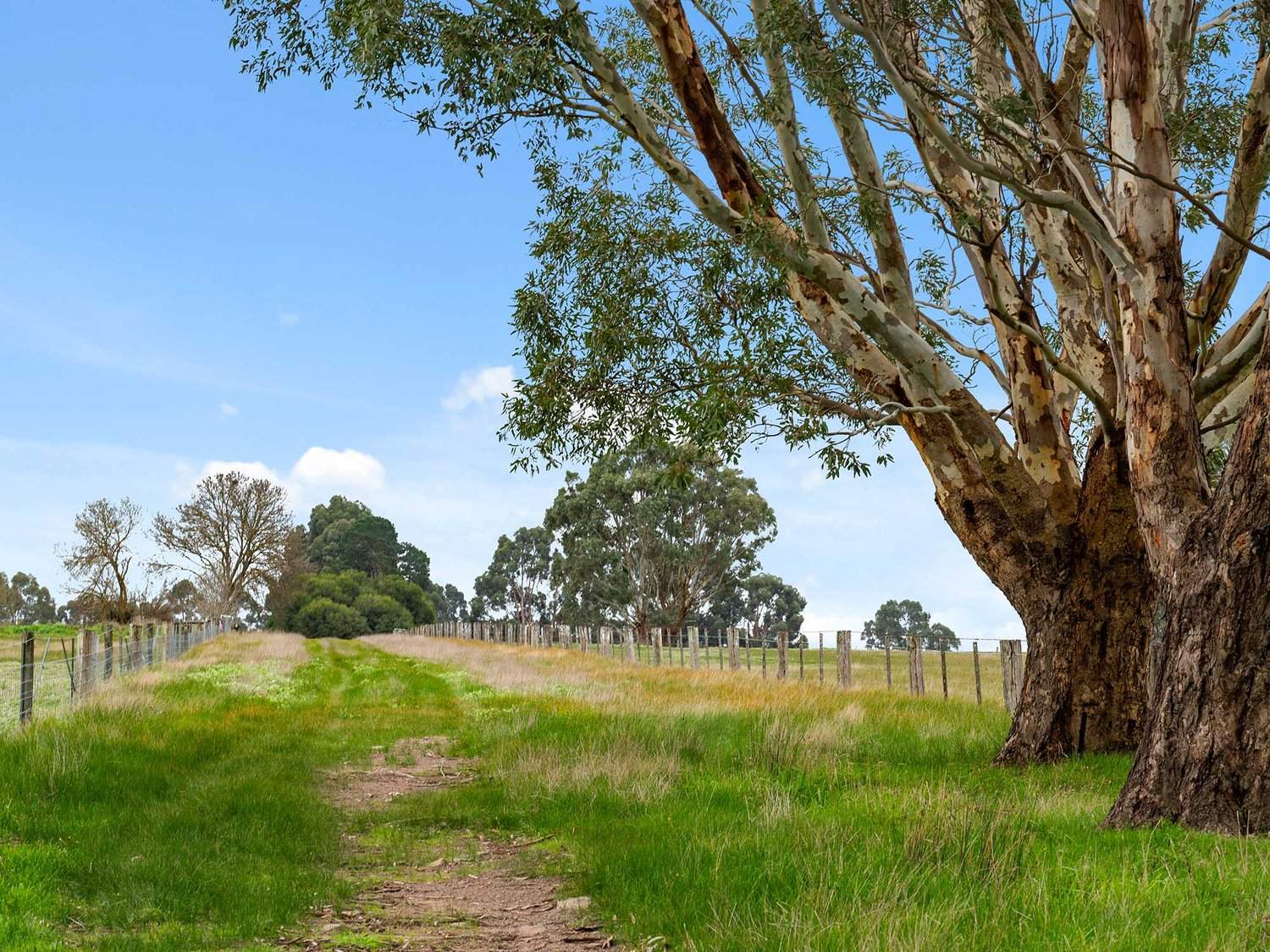 2697 Dunkeld Cavendish Road, Cavendish For Sale by Farmbuy.com - image 16