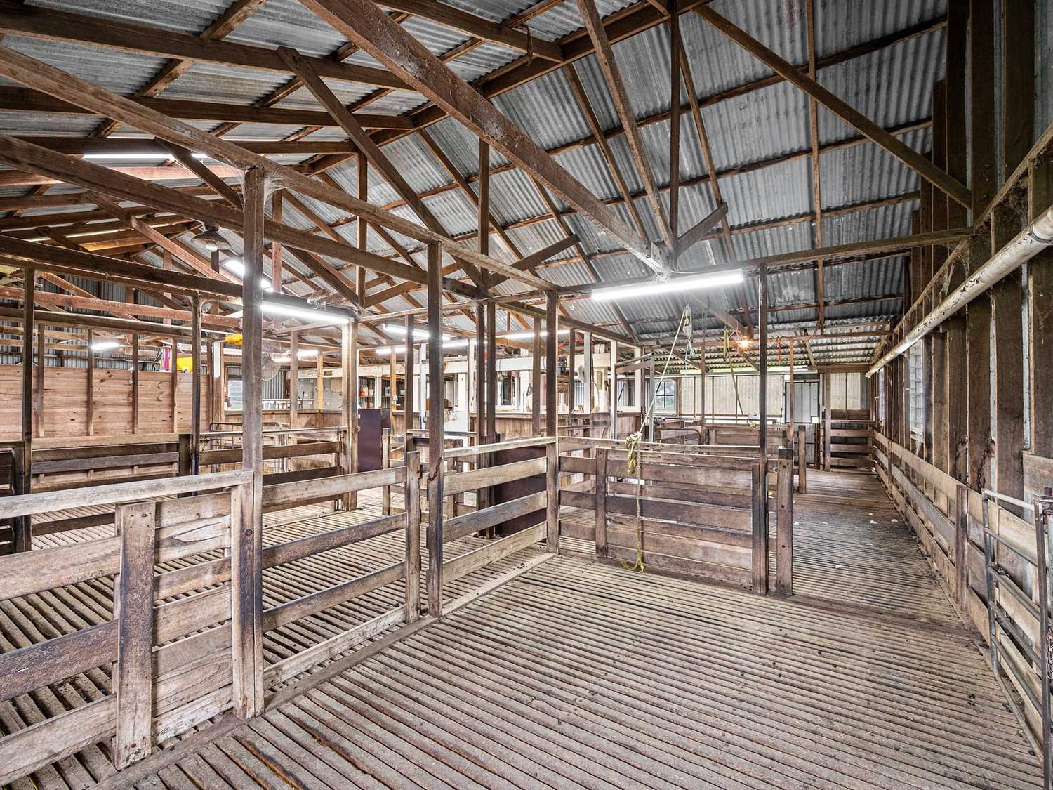 2697 Dunkeld Cavendish Road, Cavendish For Sale by Farmbuy.com - image 18