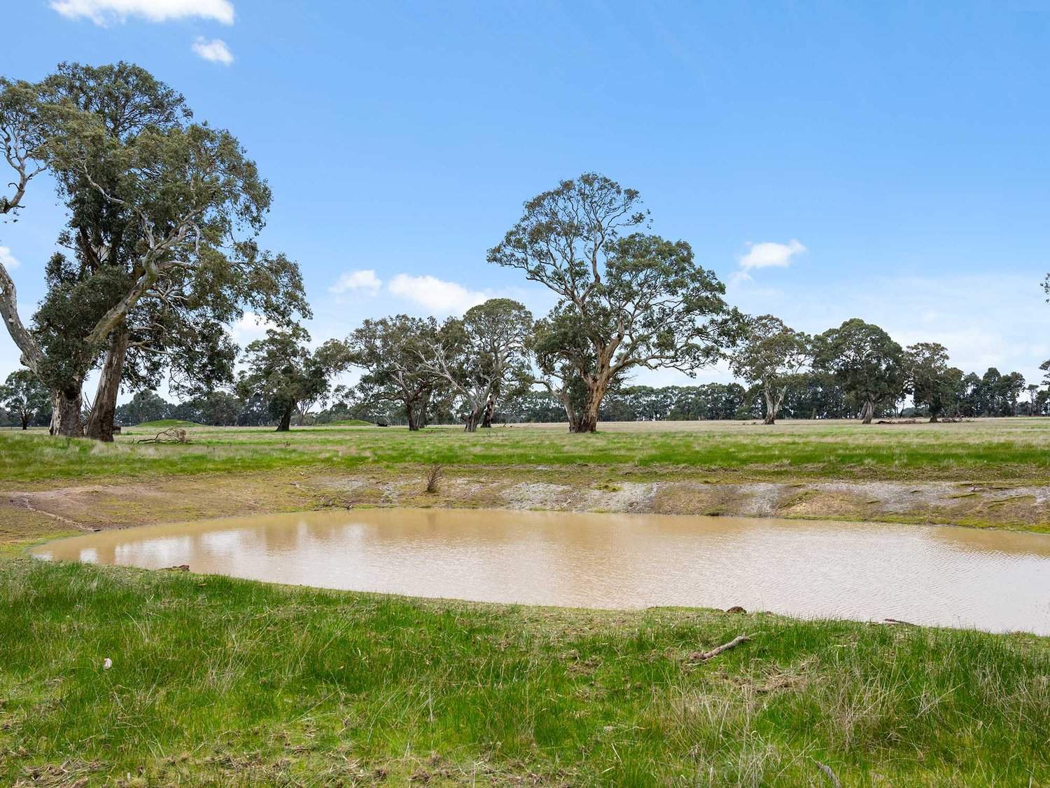 2697 Dunkeld Cavendish Road, Cavendish For Sale by Farmbuy.com - image 3