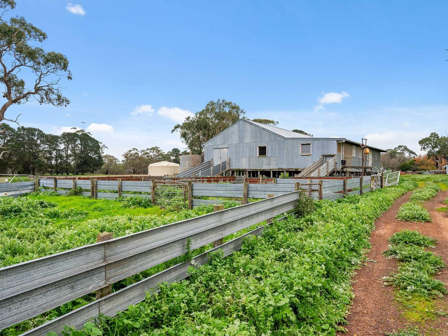 2697 Dunkeld Cavendish Road, Cavendish For Sale by Farmbuy.com - image 5
