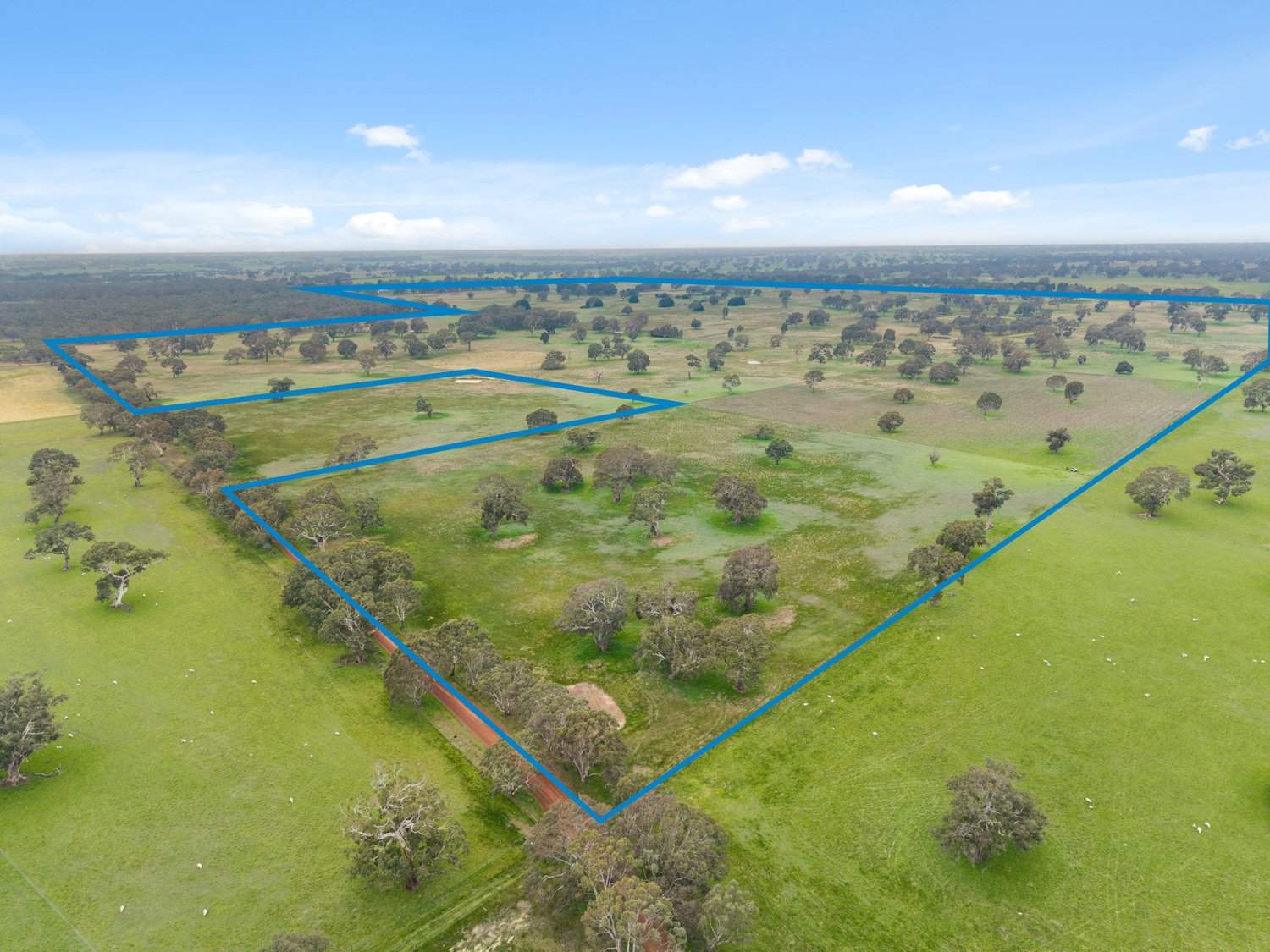 2697 Dunkeld Cavendish Road, Cavendish For Sale by Farmbuy.com - image 17