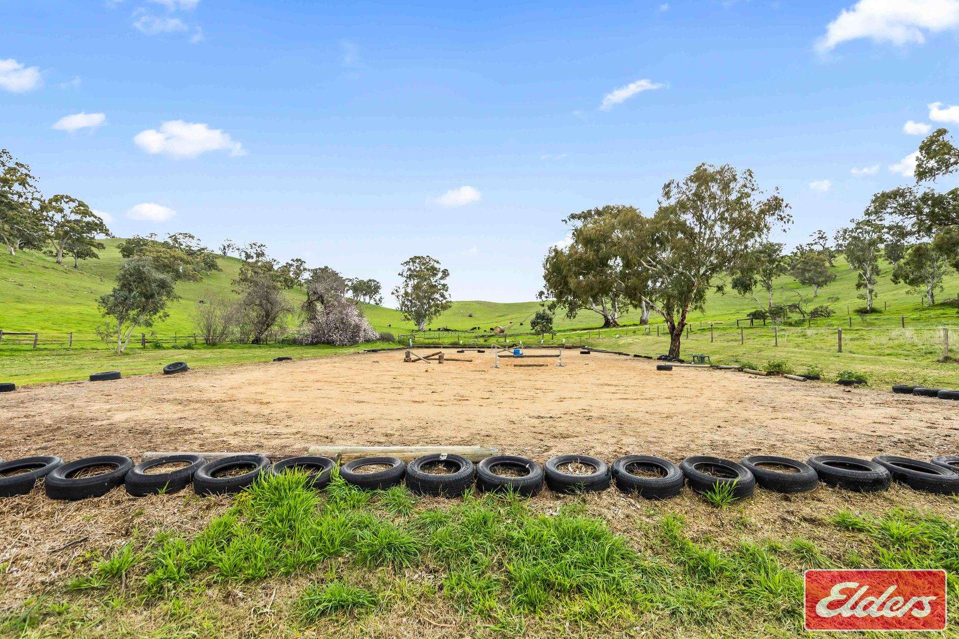 110 Sugar Loaf Road, Williamstown For Sale by Farmbuy.com - image 29