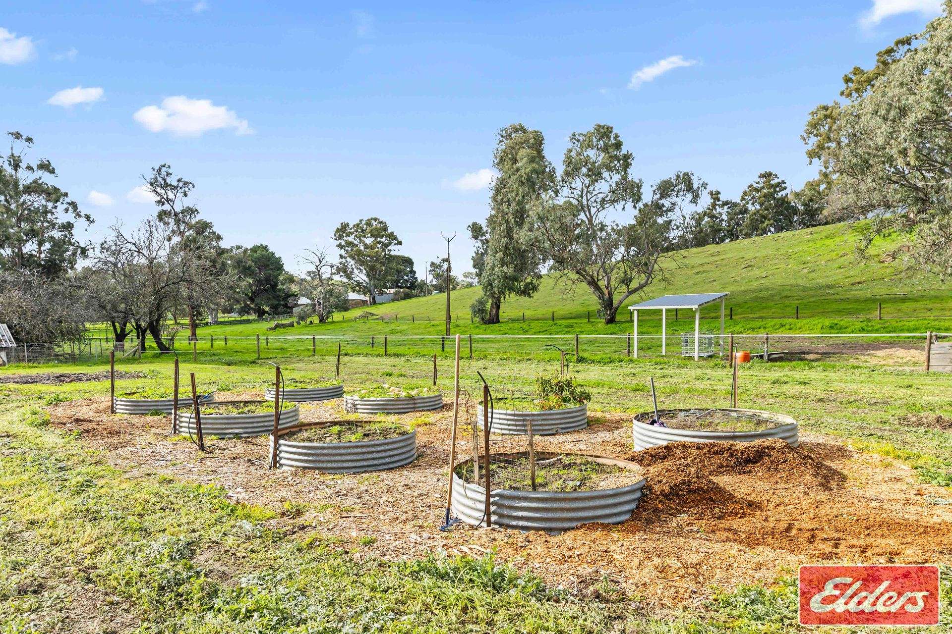 110 Sugar Loaf Road, Williamstown For Sale by Farmbuy.com - image 26