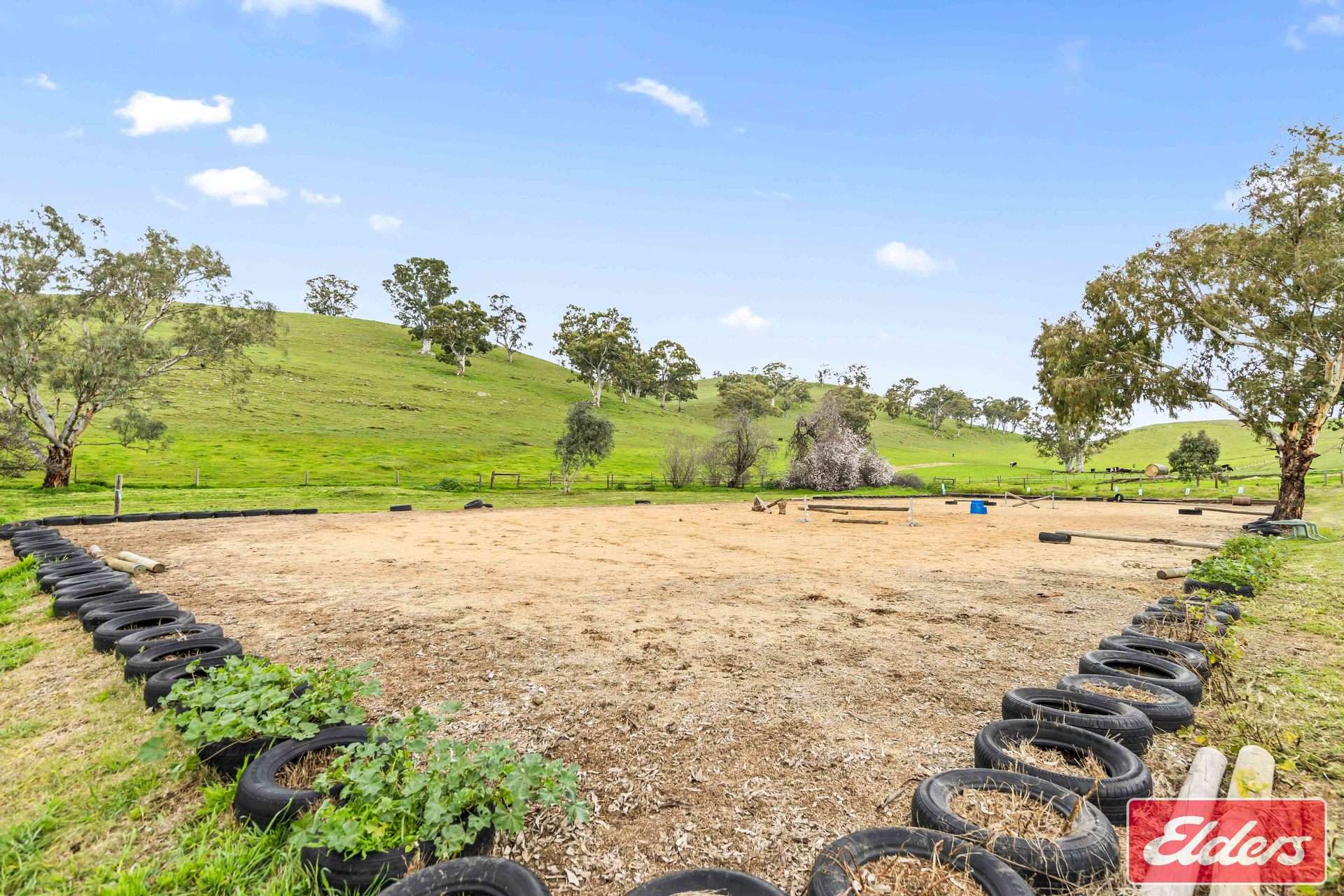 110 Sugar Loaf Road, Williamstown For Sale by Farmbuy.com - image 30