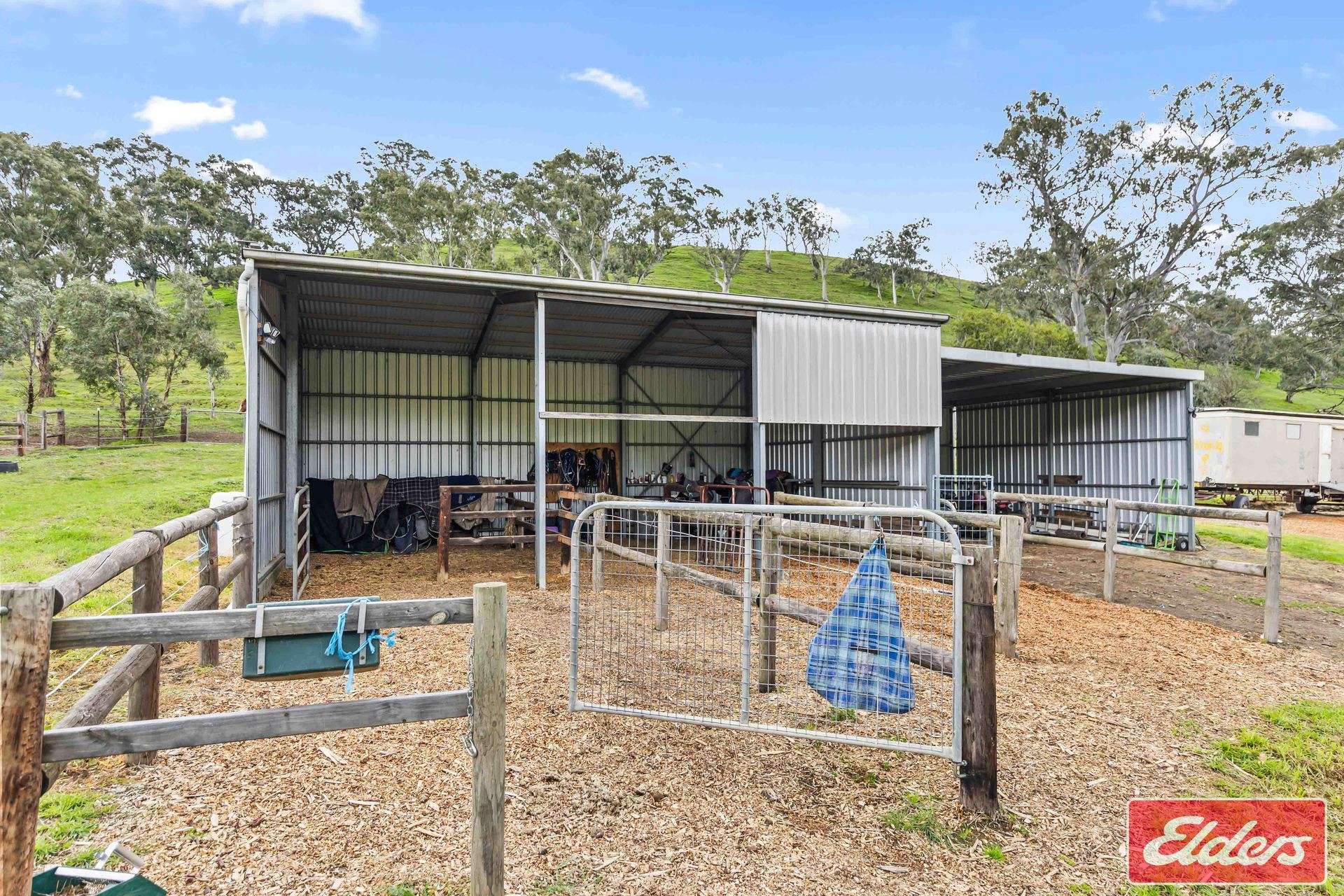 110 Sugar Loaf Road, Williamstown For Sale by Farmbuy.com - image 28