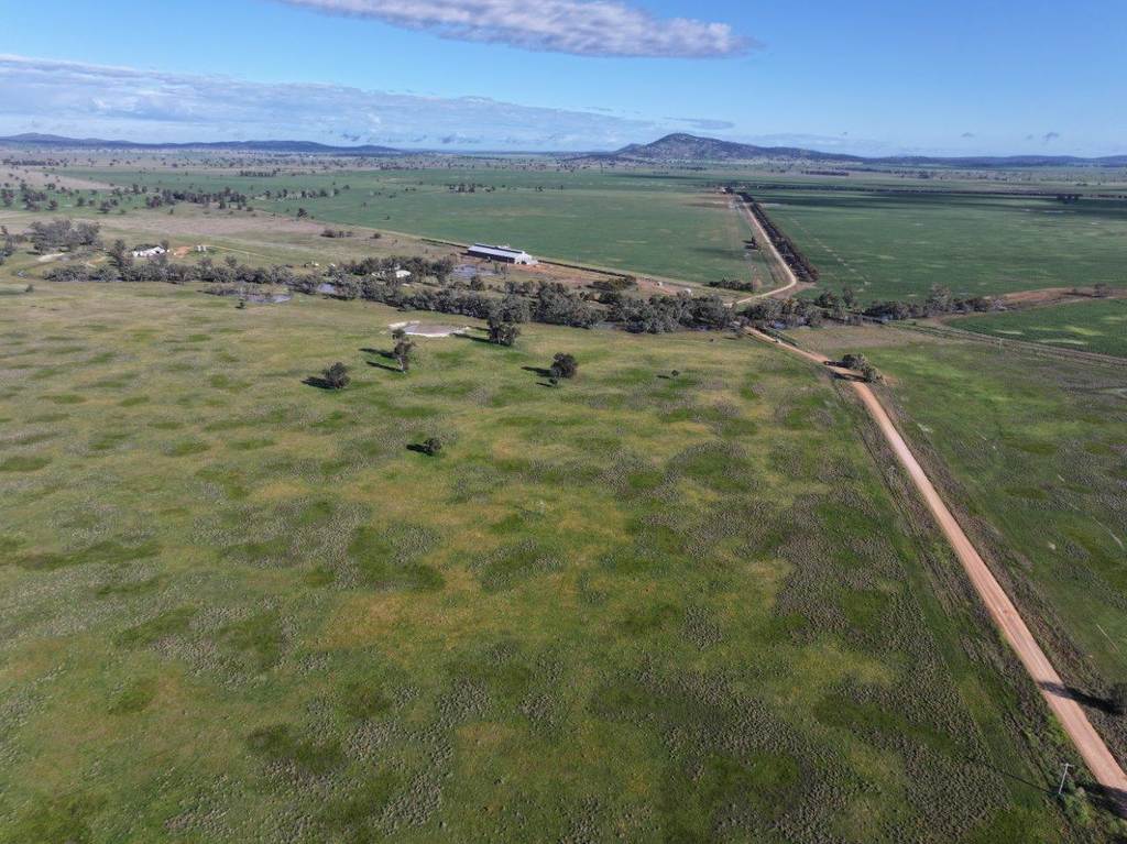 Stanley Park 327 Back Creek Road, Forbes NSW 2871