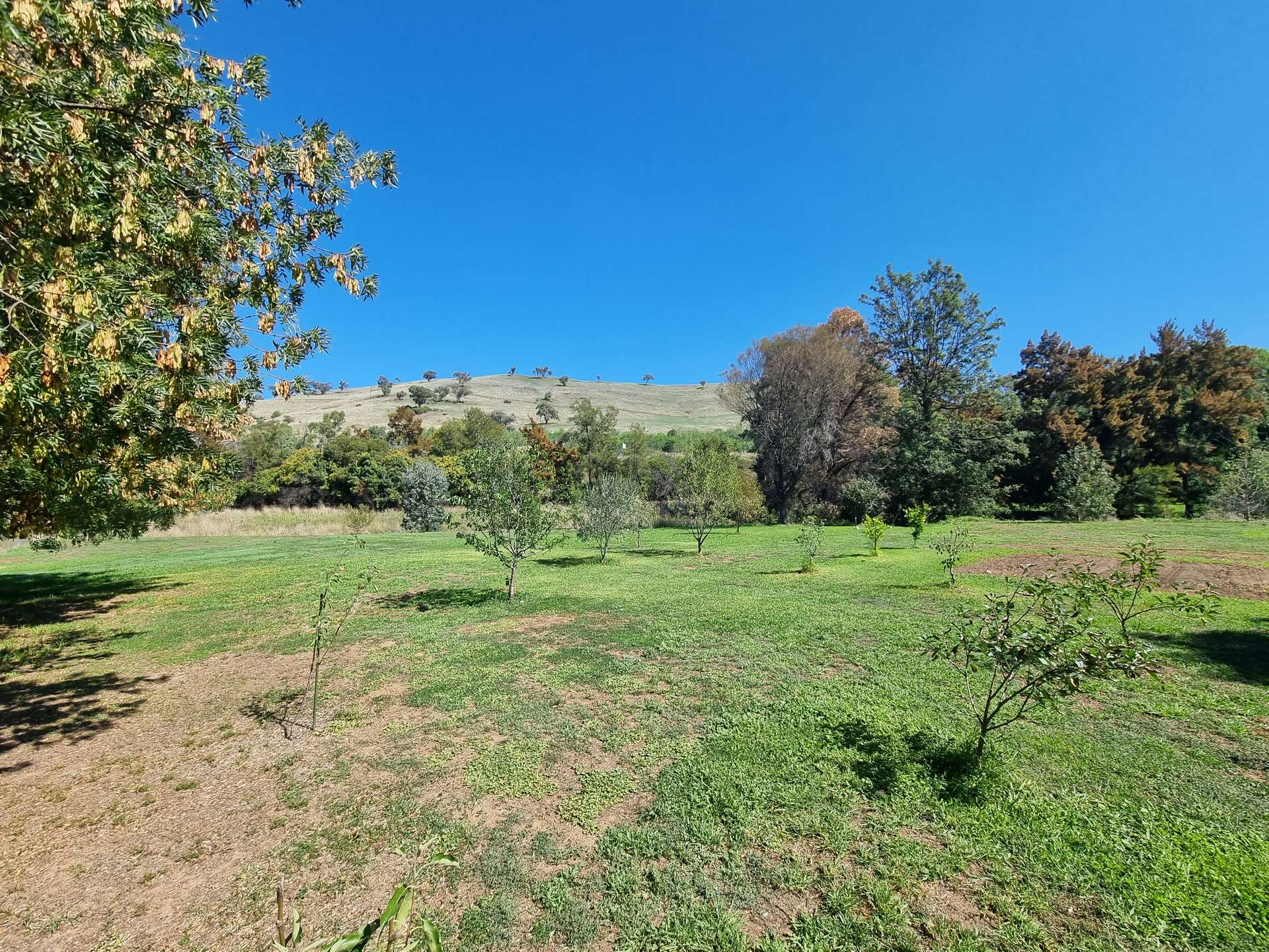 166 Punch Street, Gundagai For Sale by Farmbuy.com - image 14