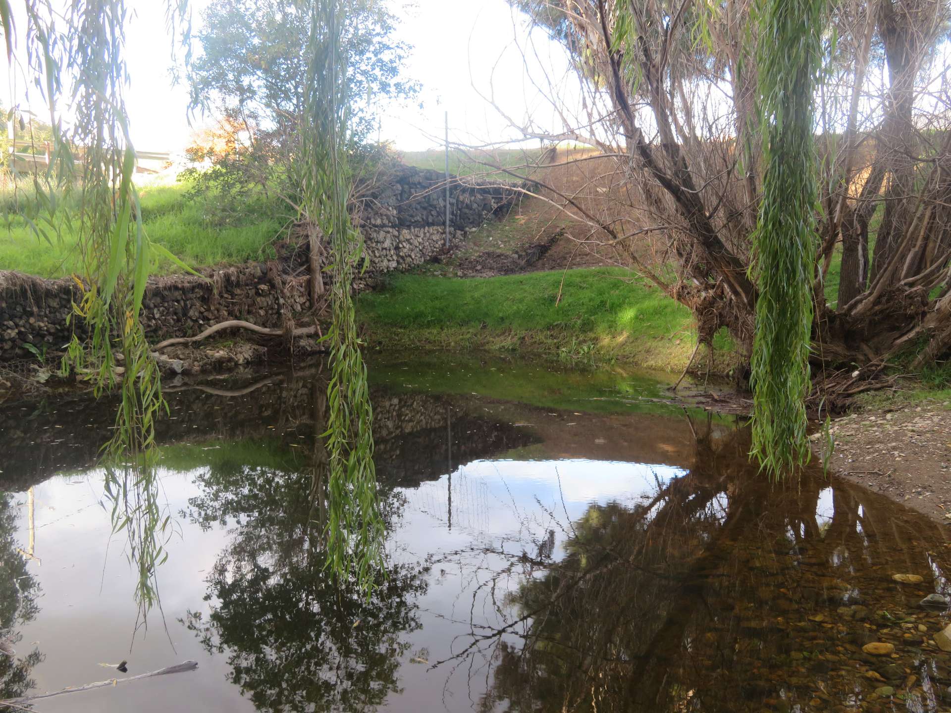 166 Punch Street, Gundagai For Sale by Farmbuy.com - image 15