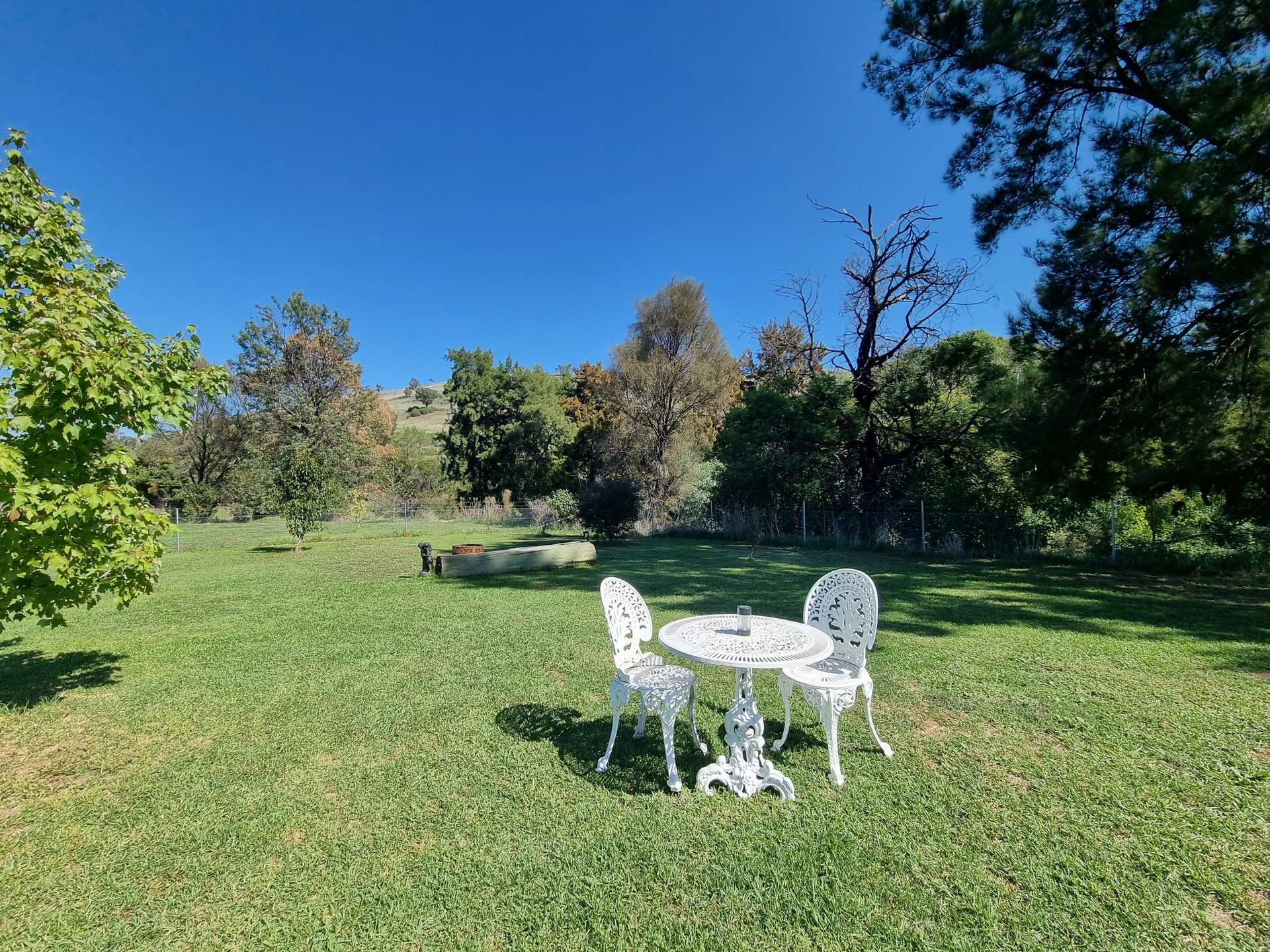 166 Punch Street, Gundagai For Sale by Farmbuy.com - image 12