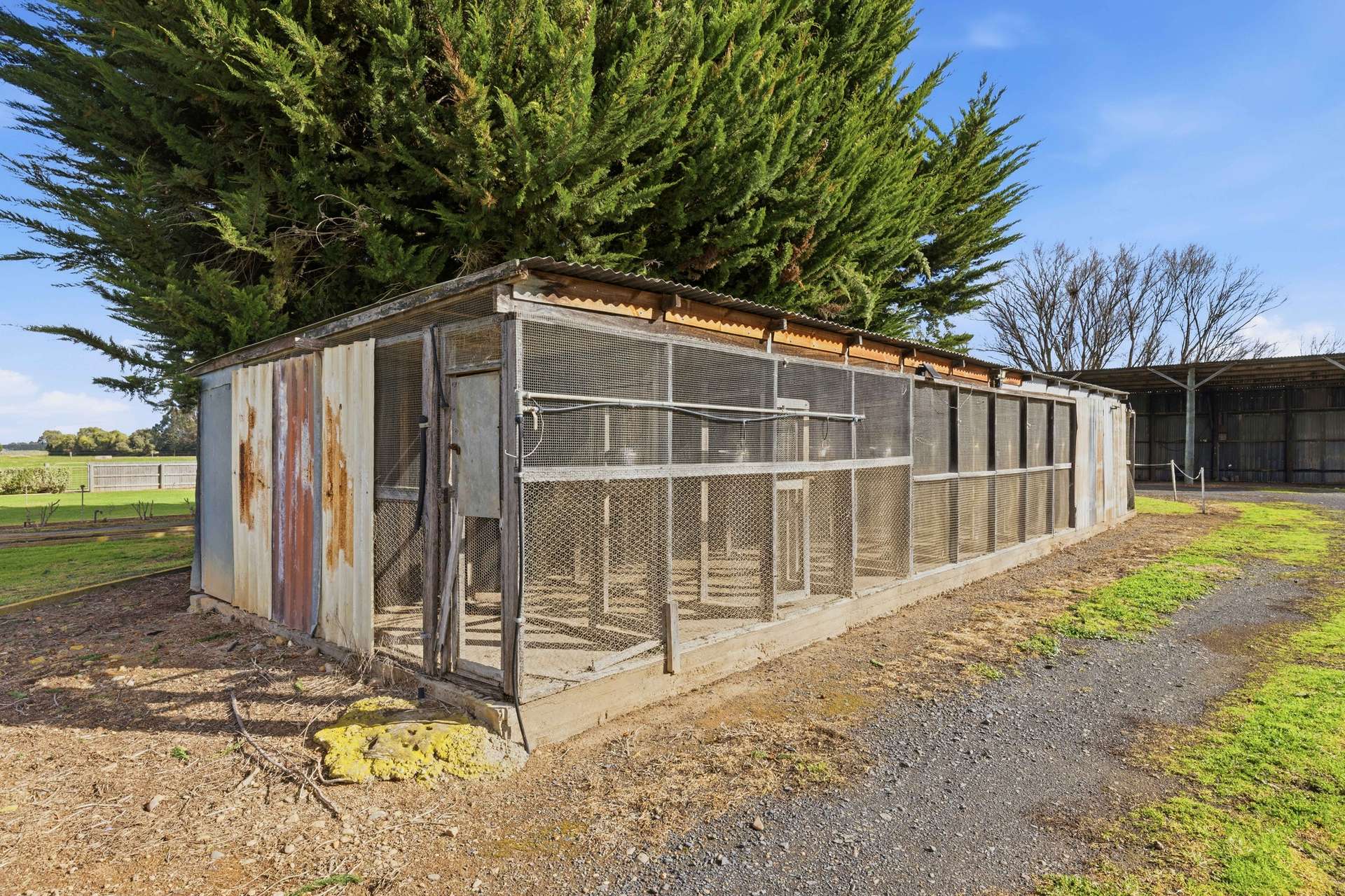 1165 Nambrok Road, Denison For Sale by Farmbuy.com - image 16