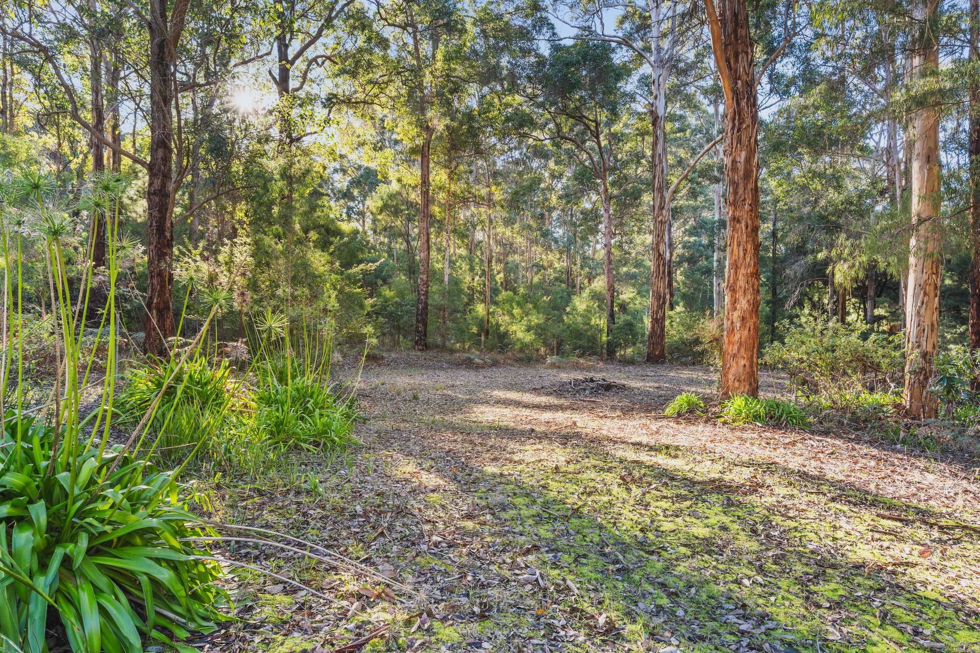 138 Plackett Drive, Pemberton For Sale by Farmbuy.com - image 16