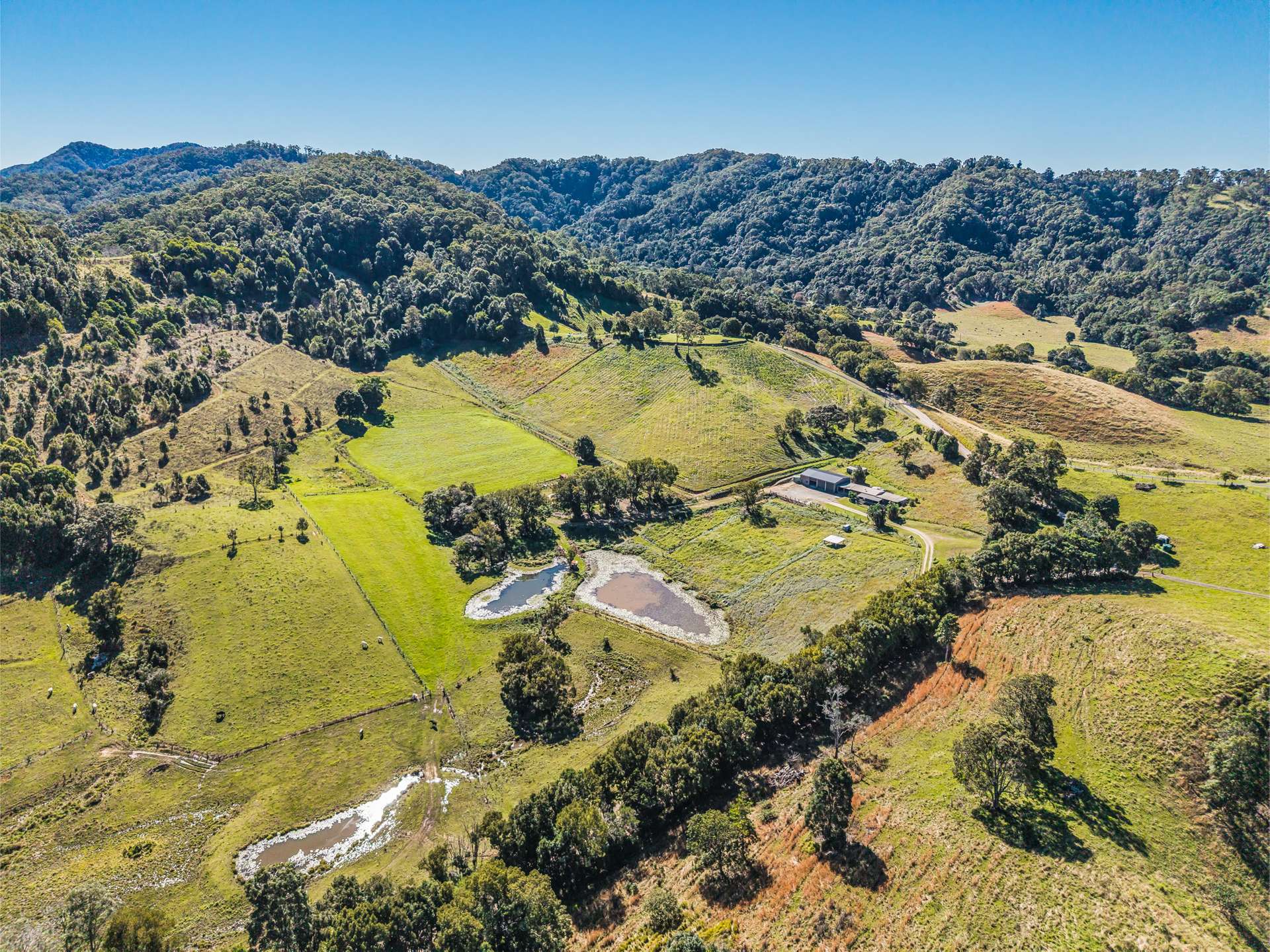 81 Kielys Road, Mooball For Sale by Farmbuy.com - image 19