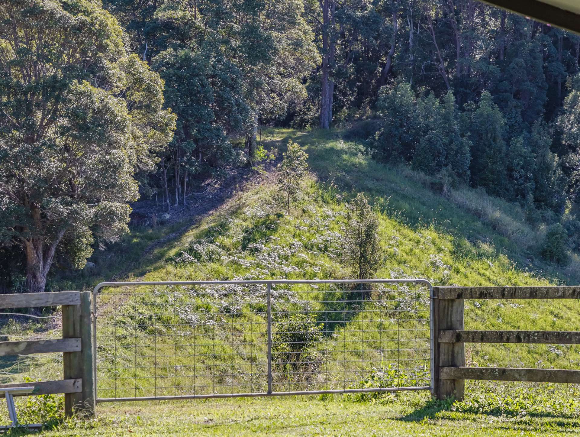 81 Kielys Road, Mooball For Sale by Farmbuy.com - image 12