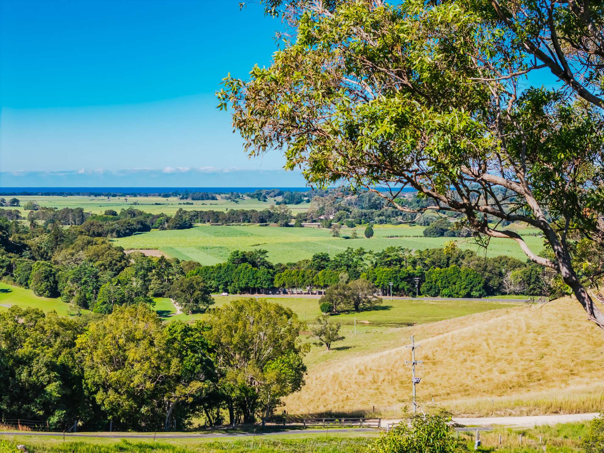 81 Kielys Road, Mooball For Sale by Farmbuy.com - image 22