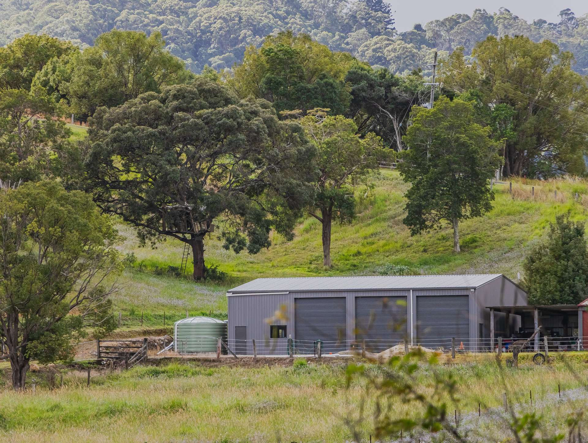 81 Kielys Road, Mooball For Sale by Farmbuy.com - image 29